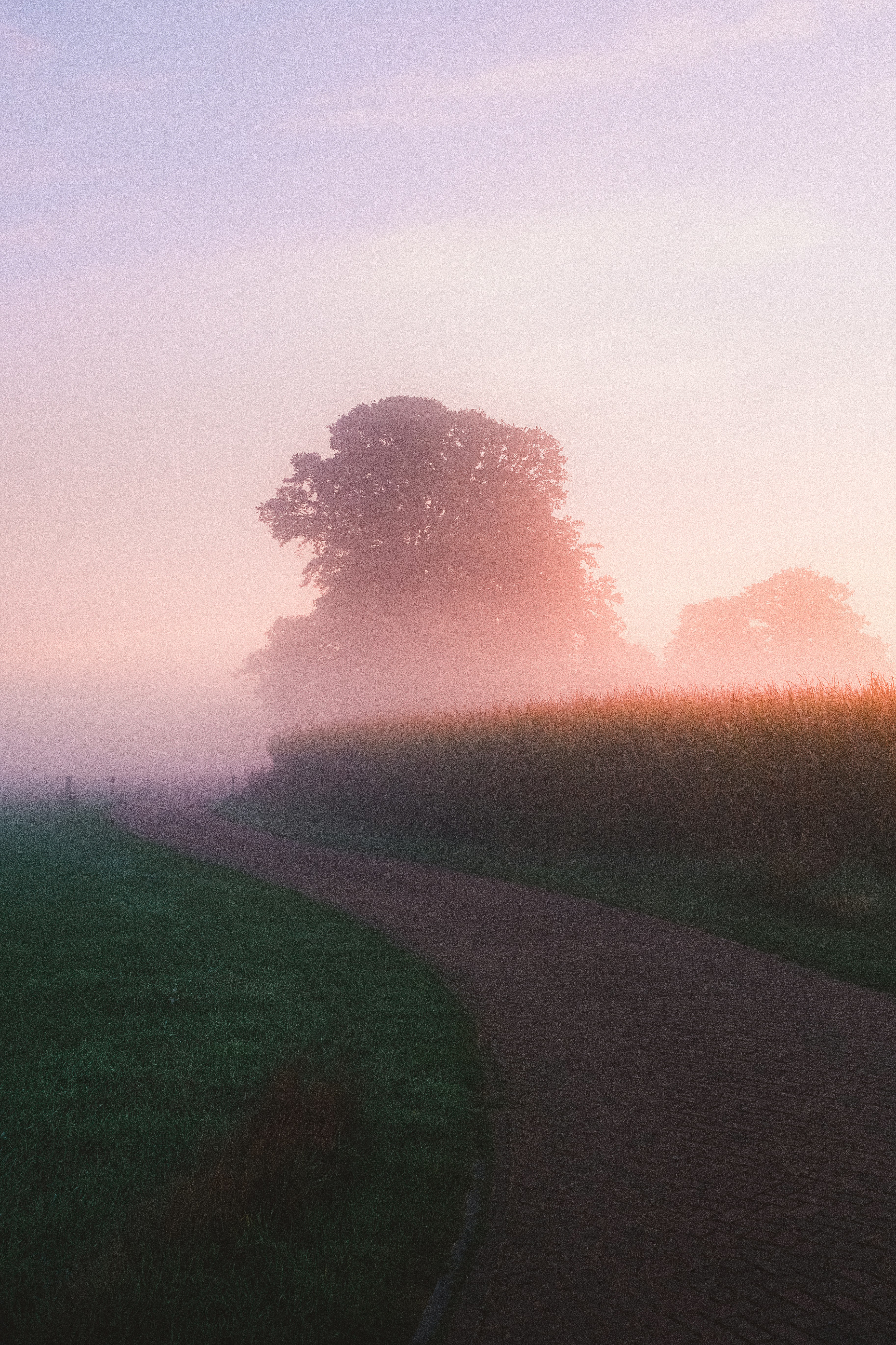 Photo by visualsbying