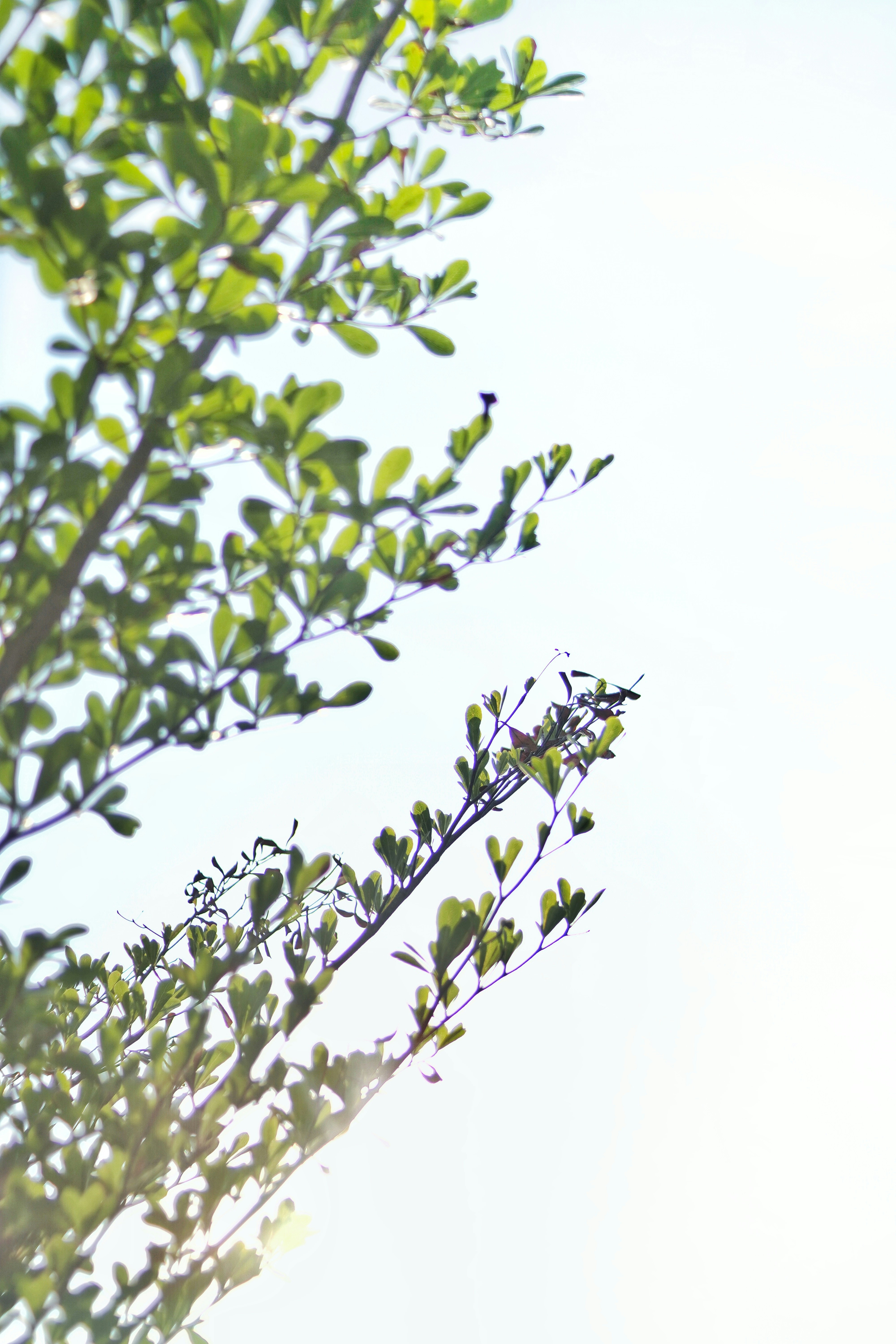 Photo by reniagustin