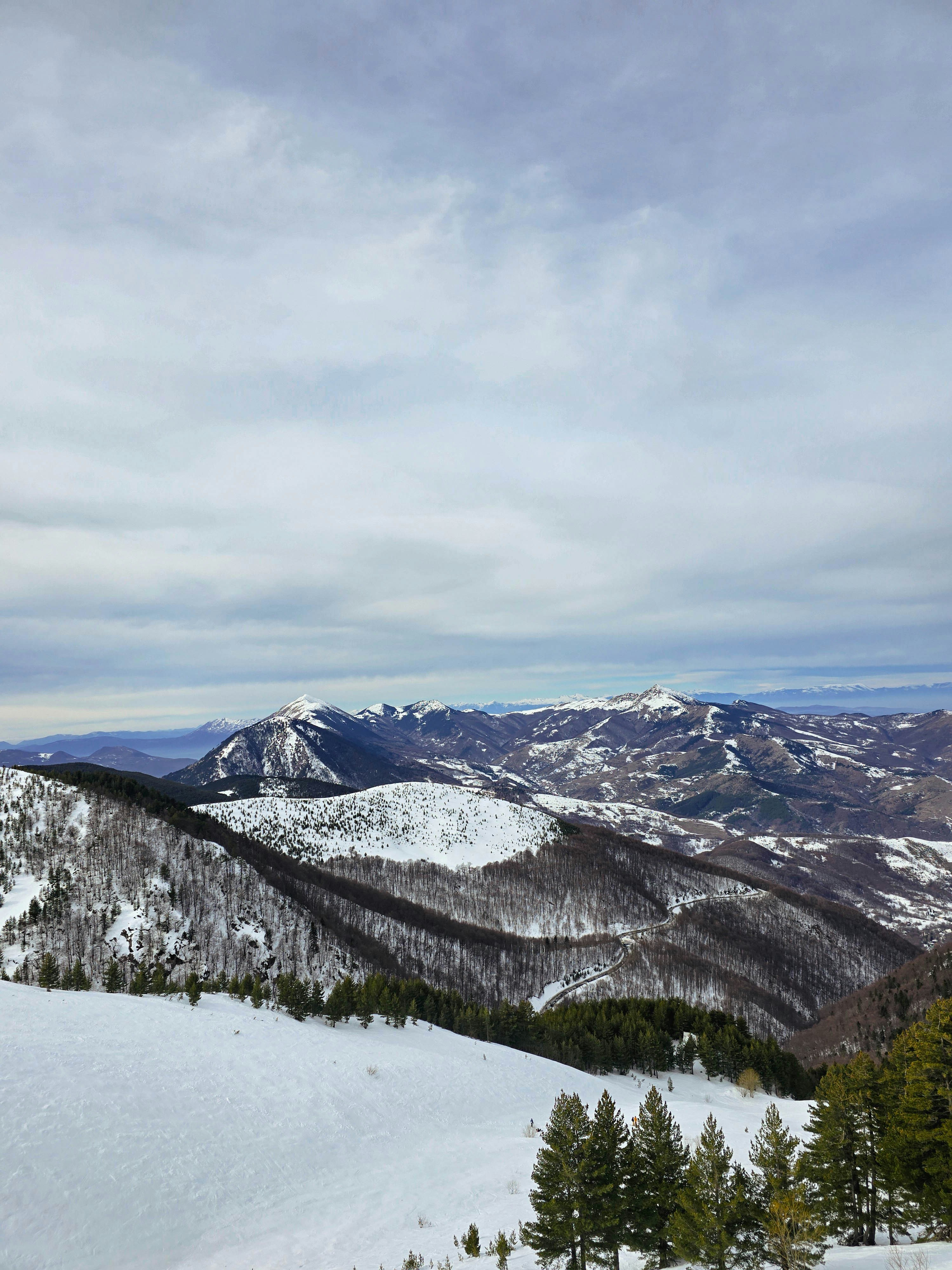 Photo by alberthyseni