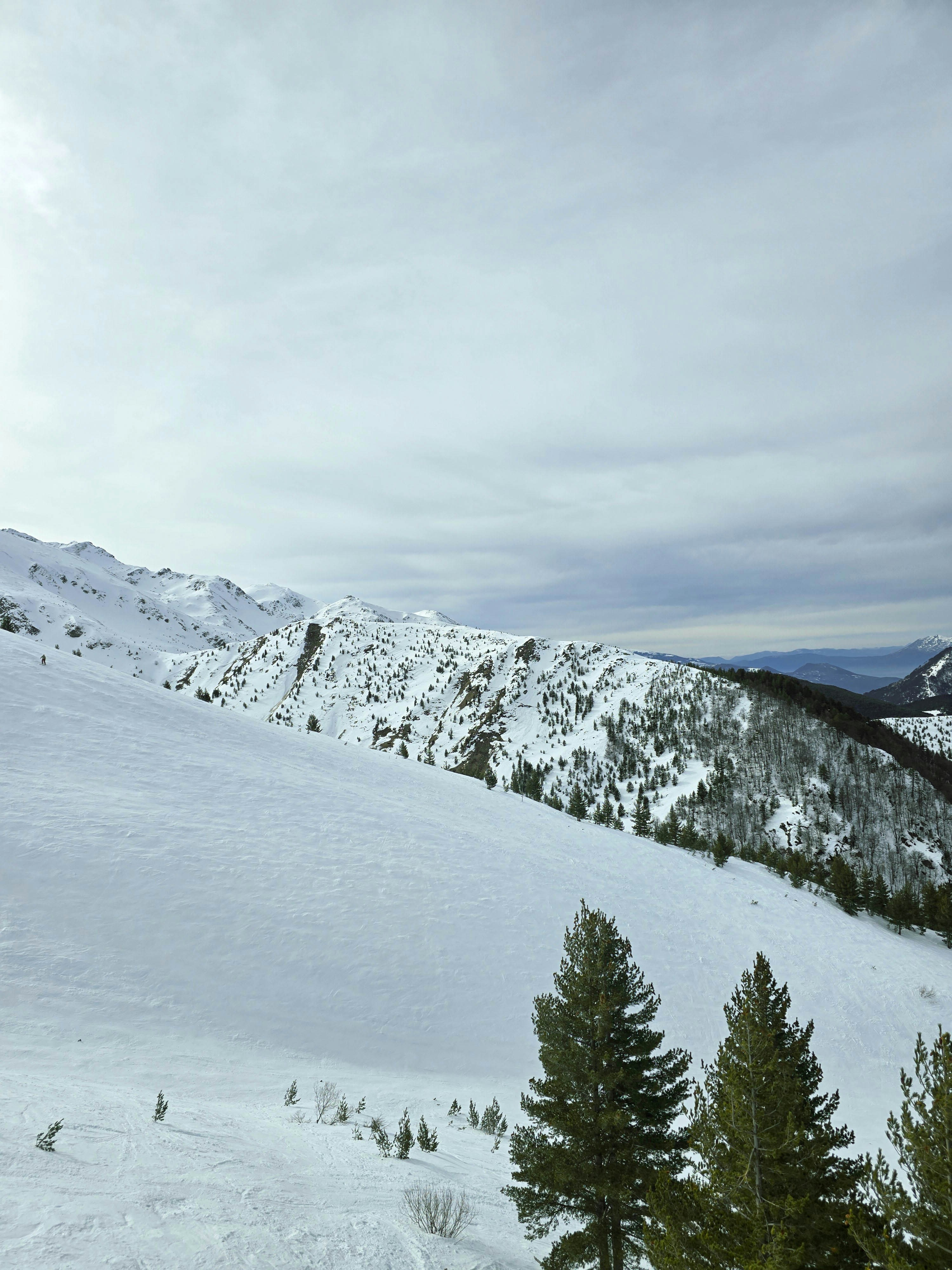 Photo by alberthyseni