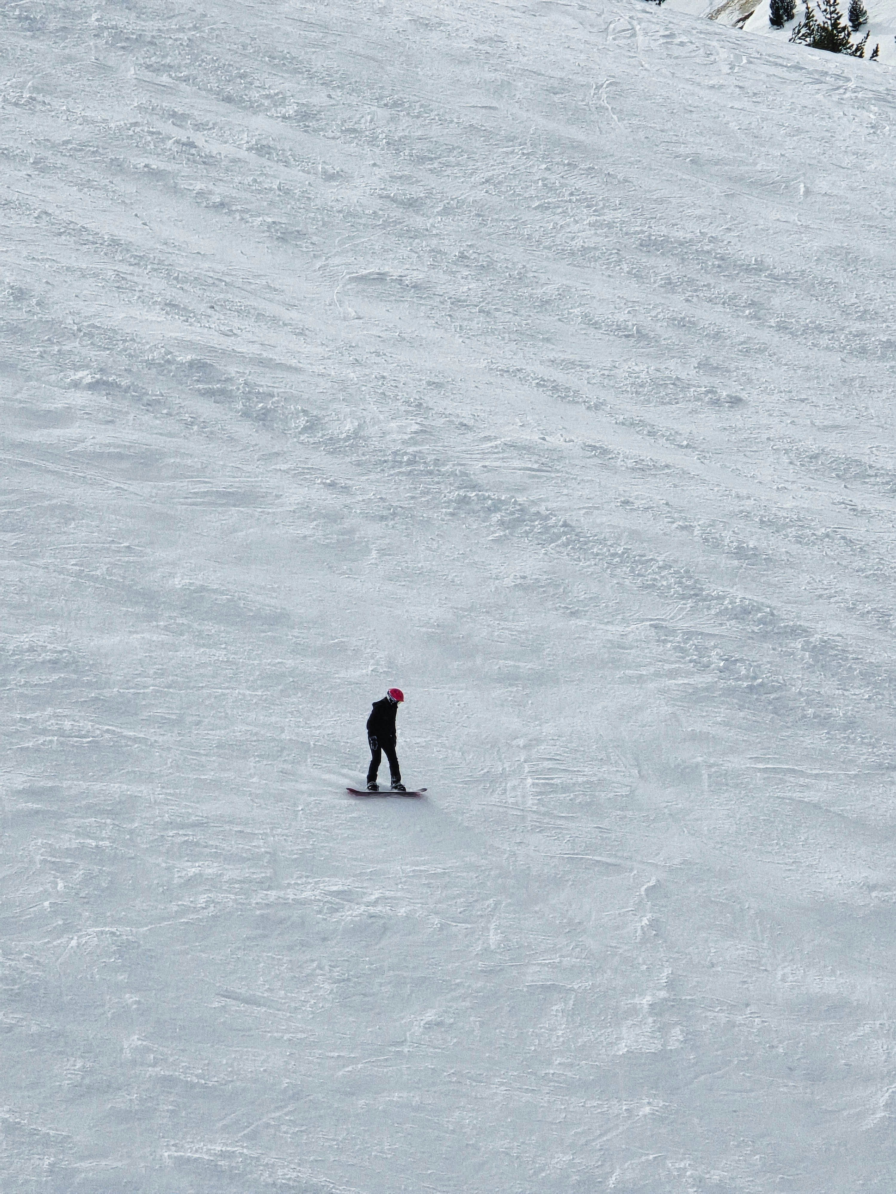 Photo by alberthyseni