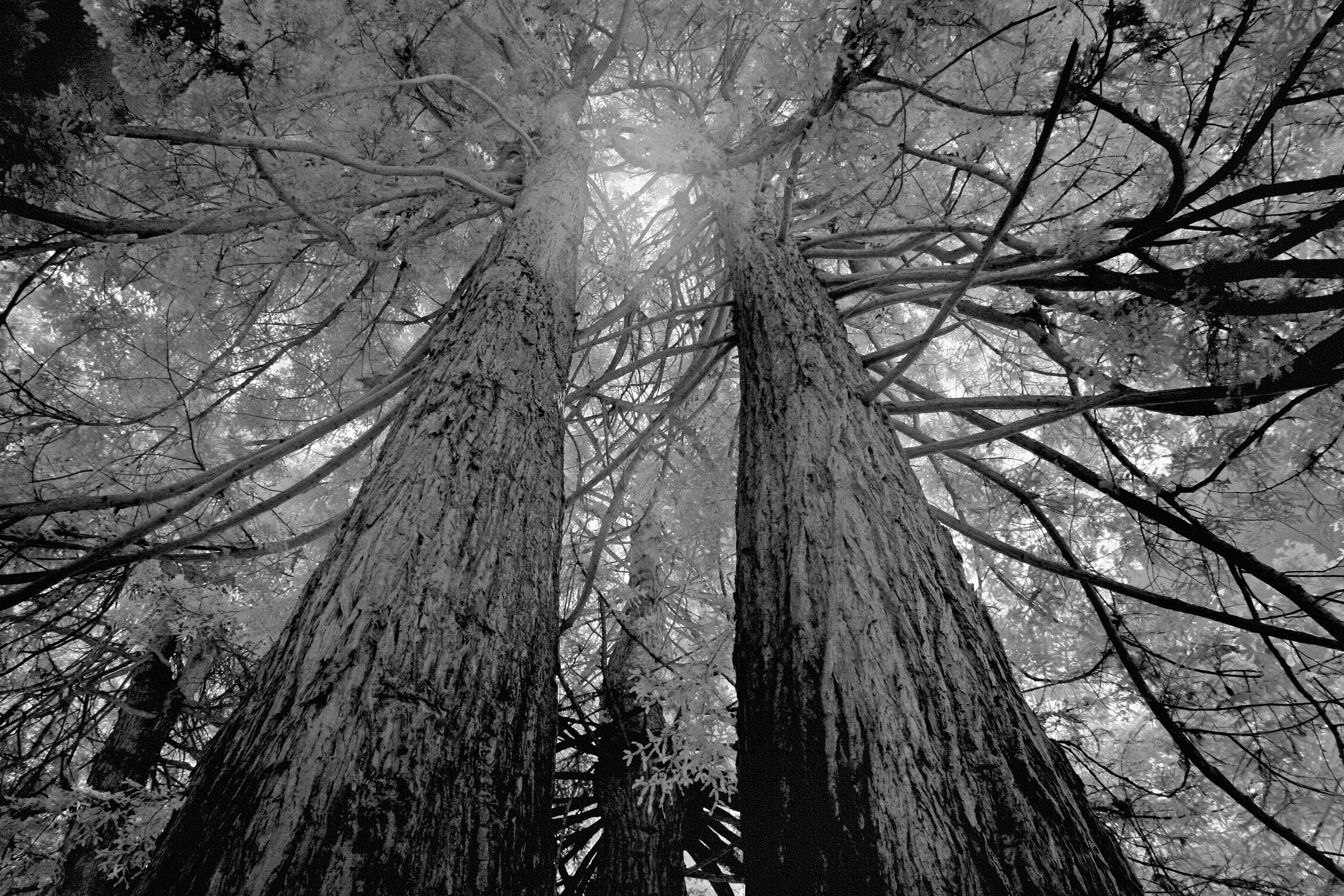 Photo by john_cardamone