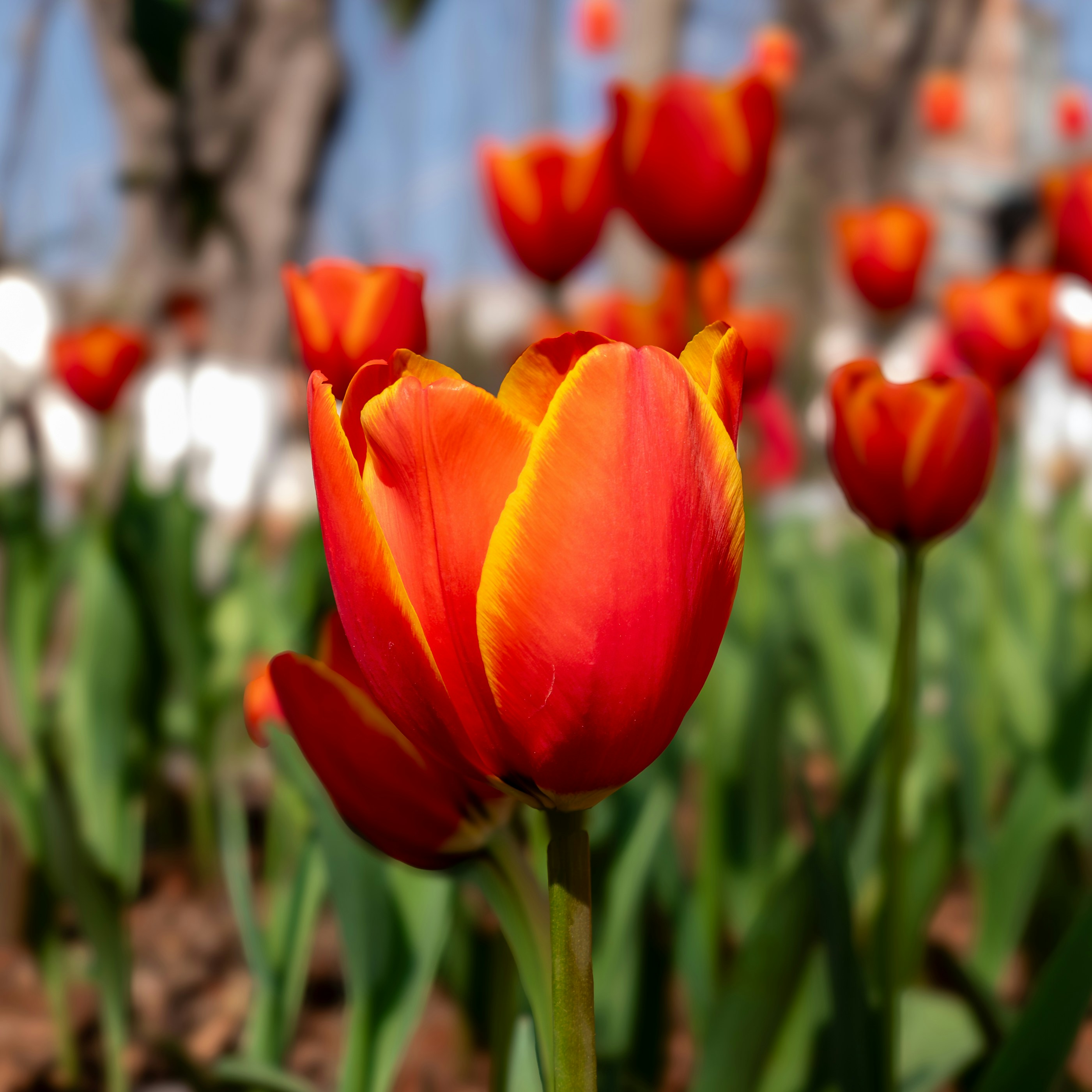 Photo by lingbo_huang