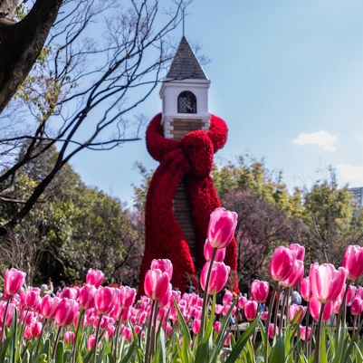 A person in a red outfit holding a birdhouse in a field of pink tu
