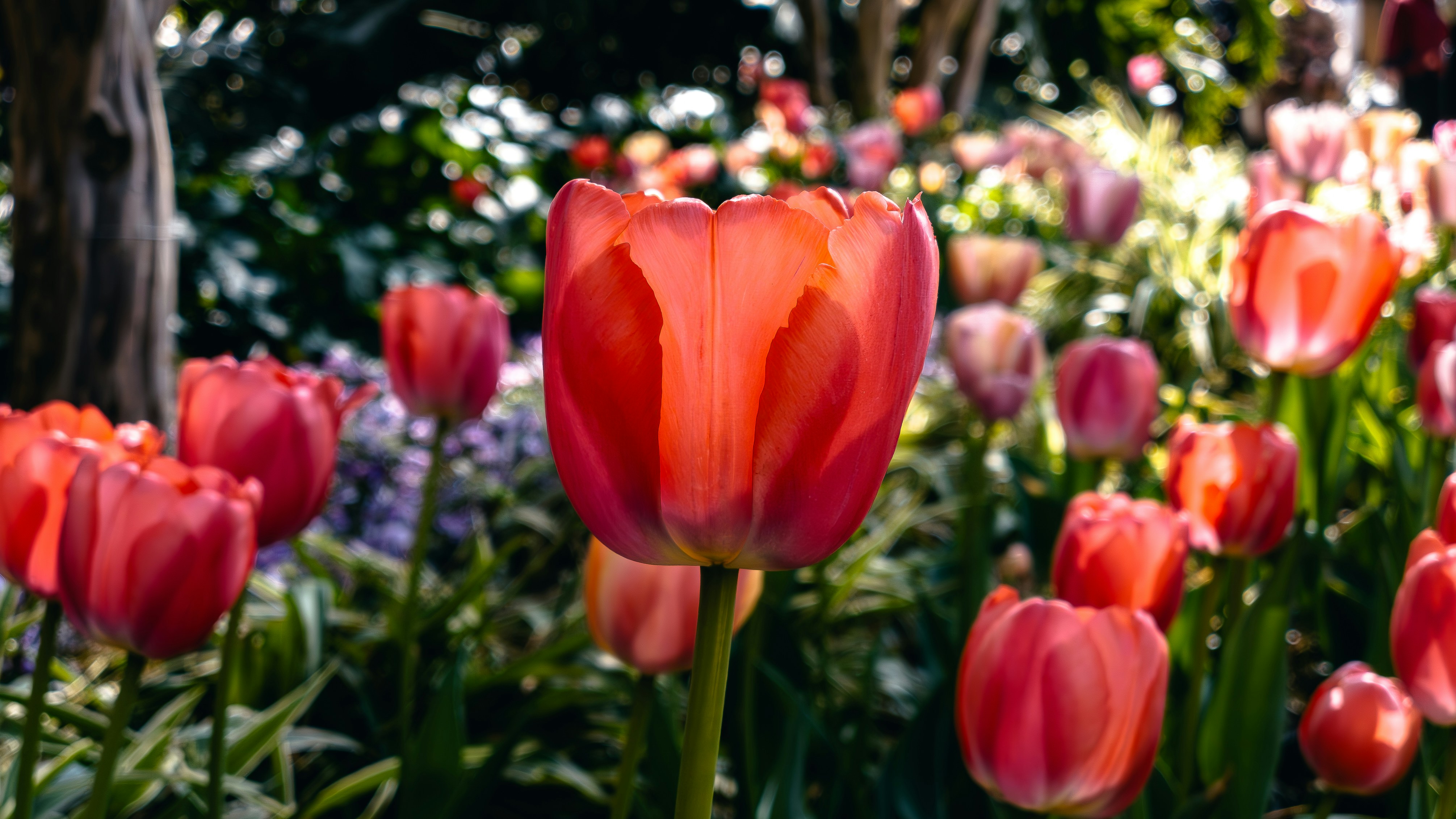 Photo by lingbo_huang