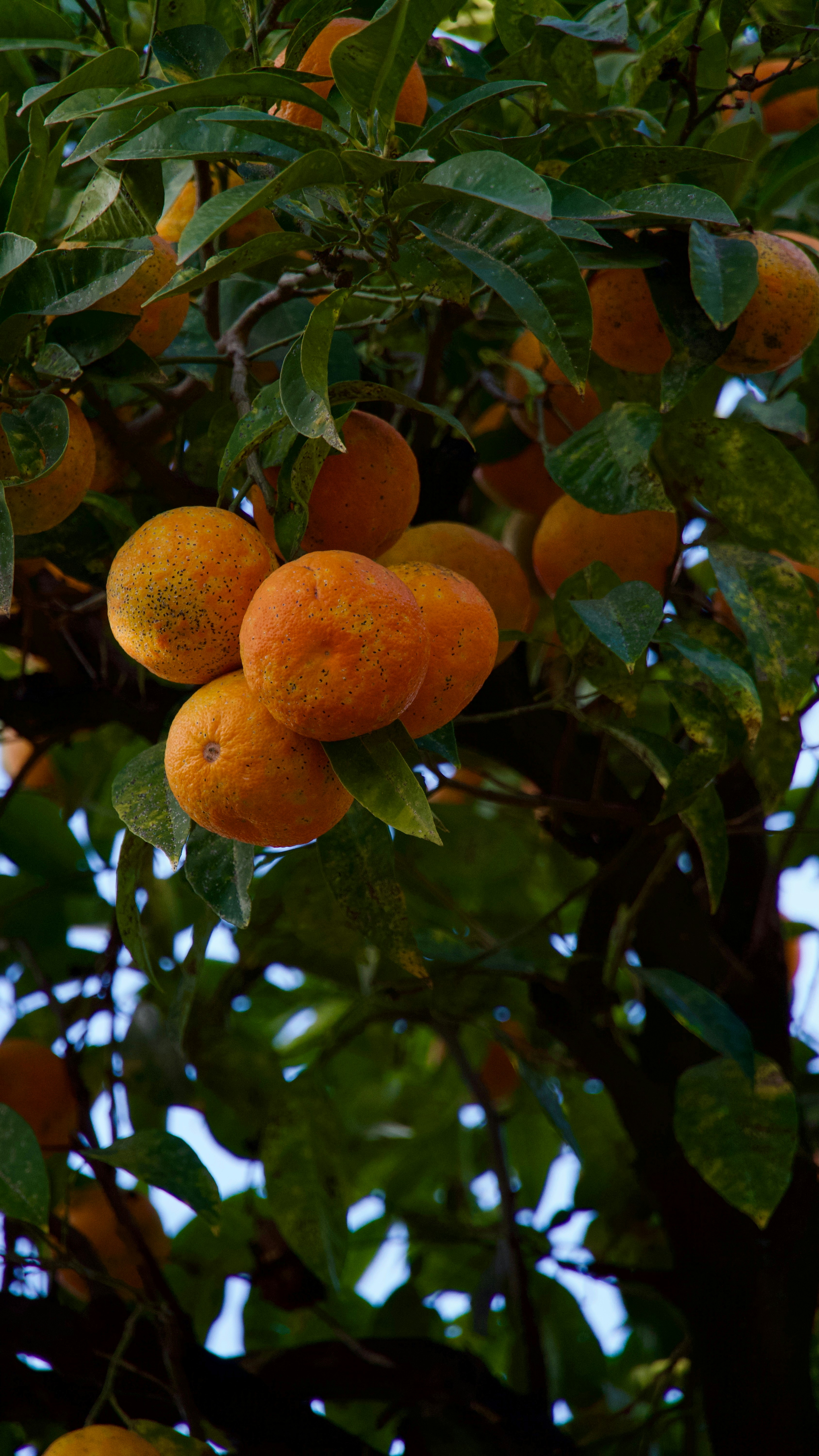 Photo by quang_quang