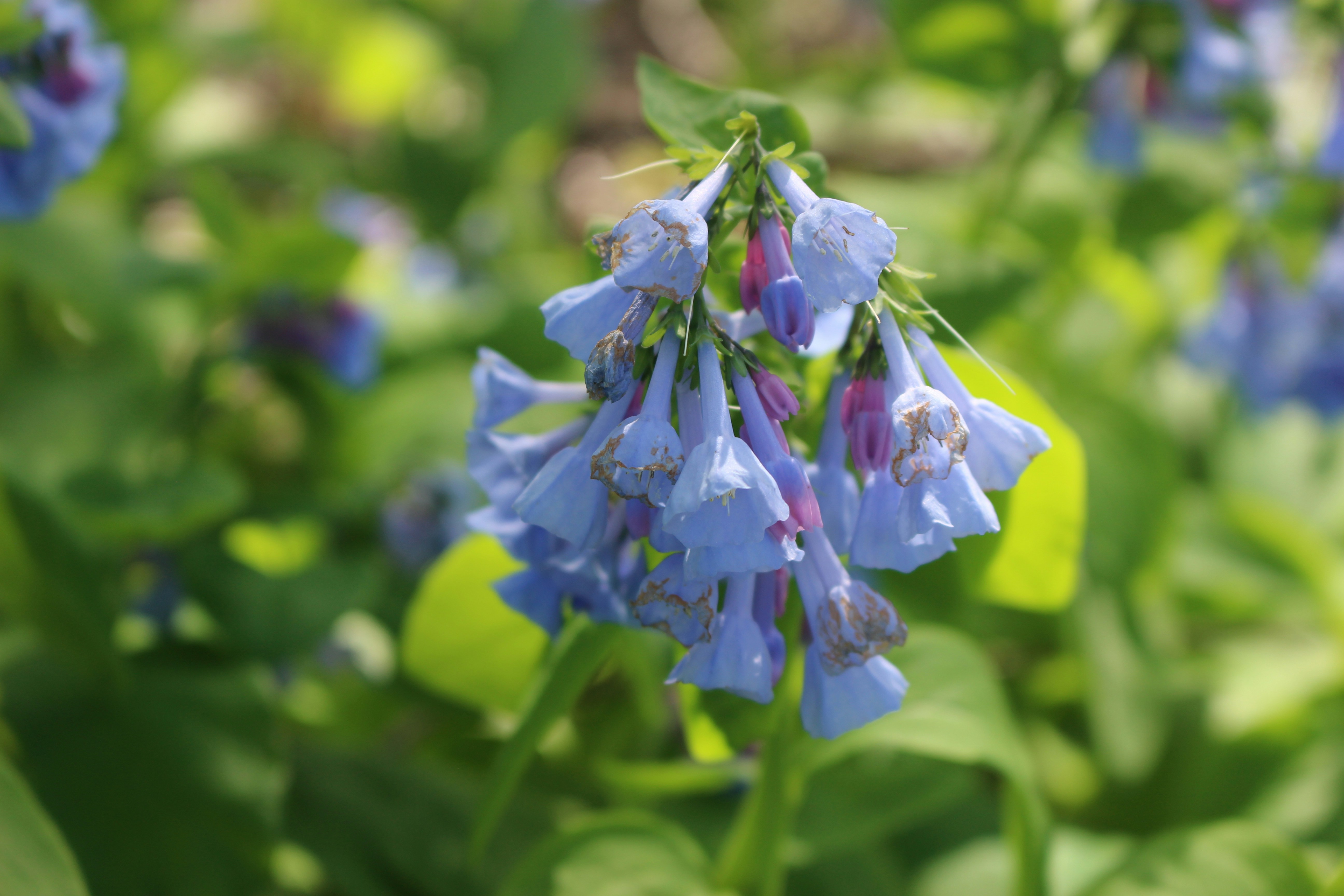 Photo by teagancross