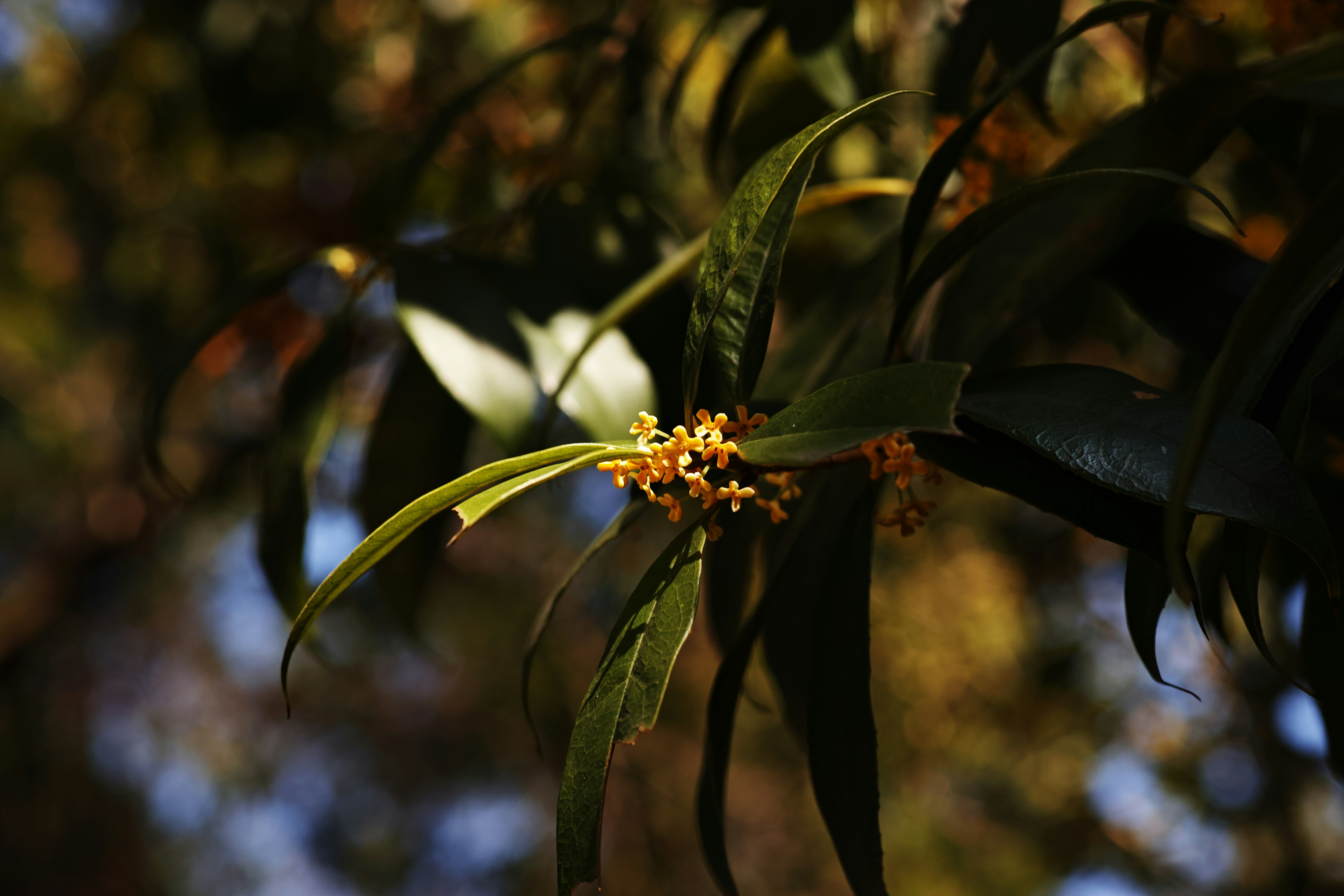 Photo by anchora9e