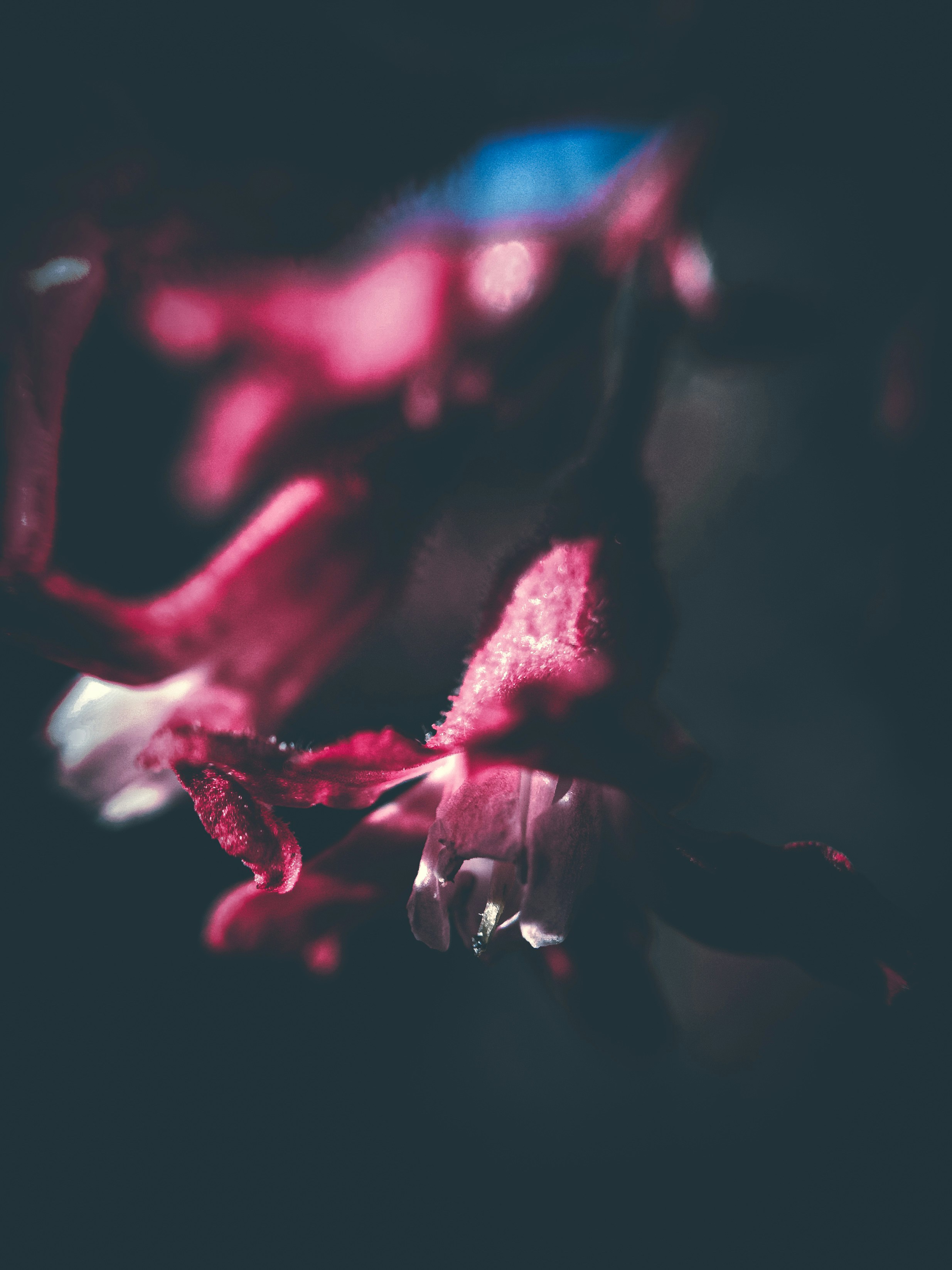 Photo by garlgarlgarl