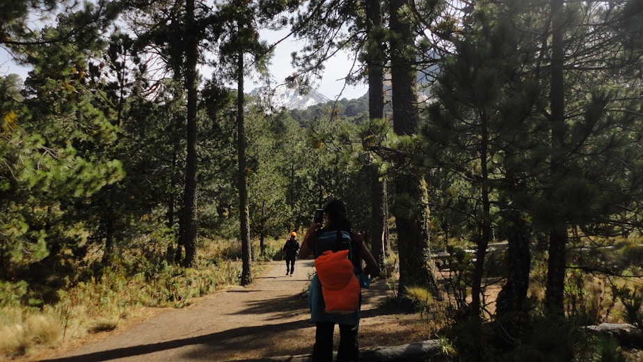 A person walking down a path in the woods