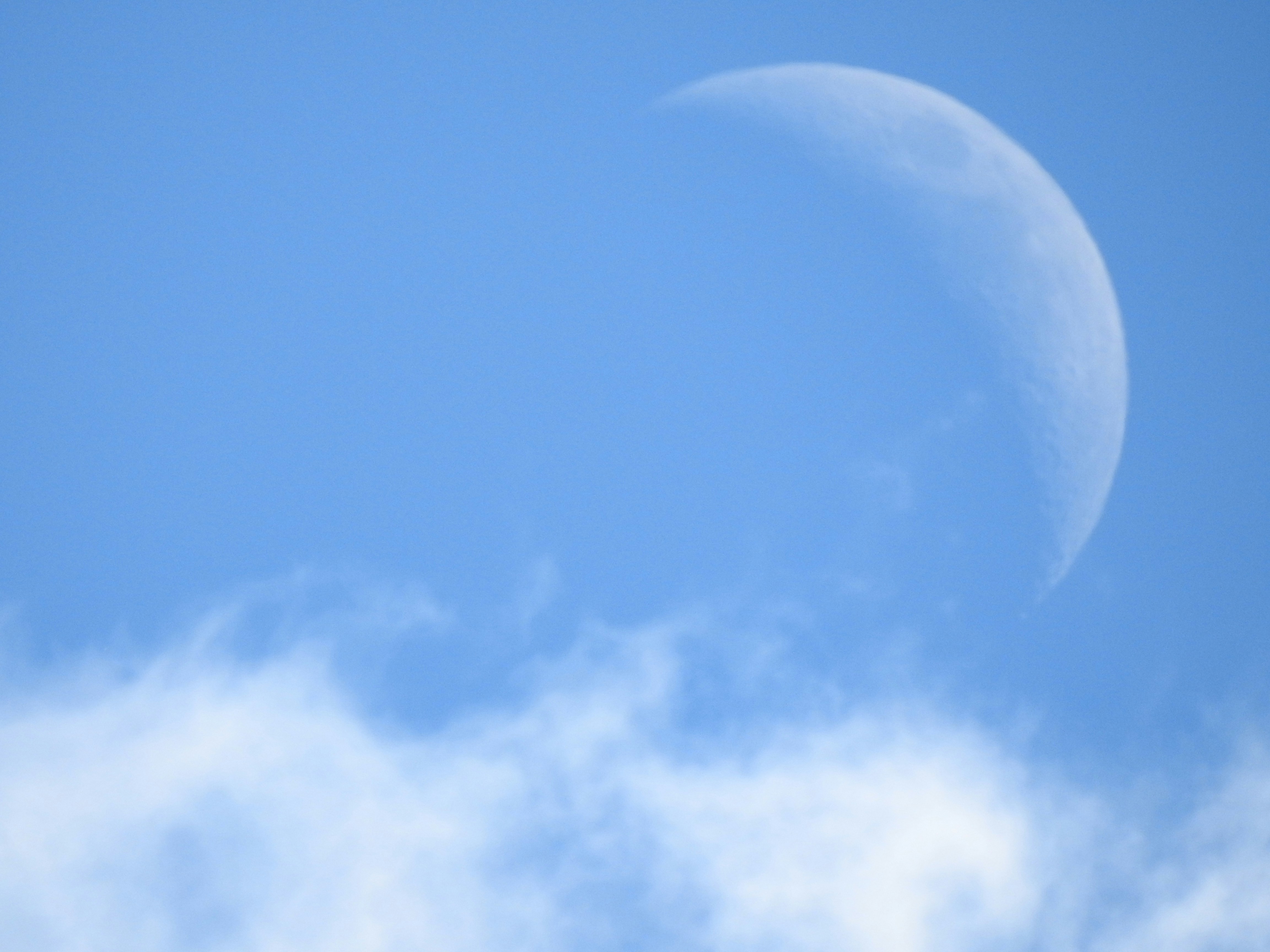 Photo by aditipanatu95