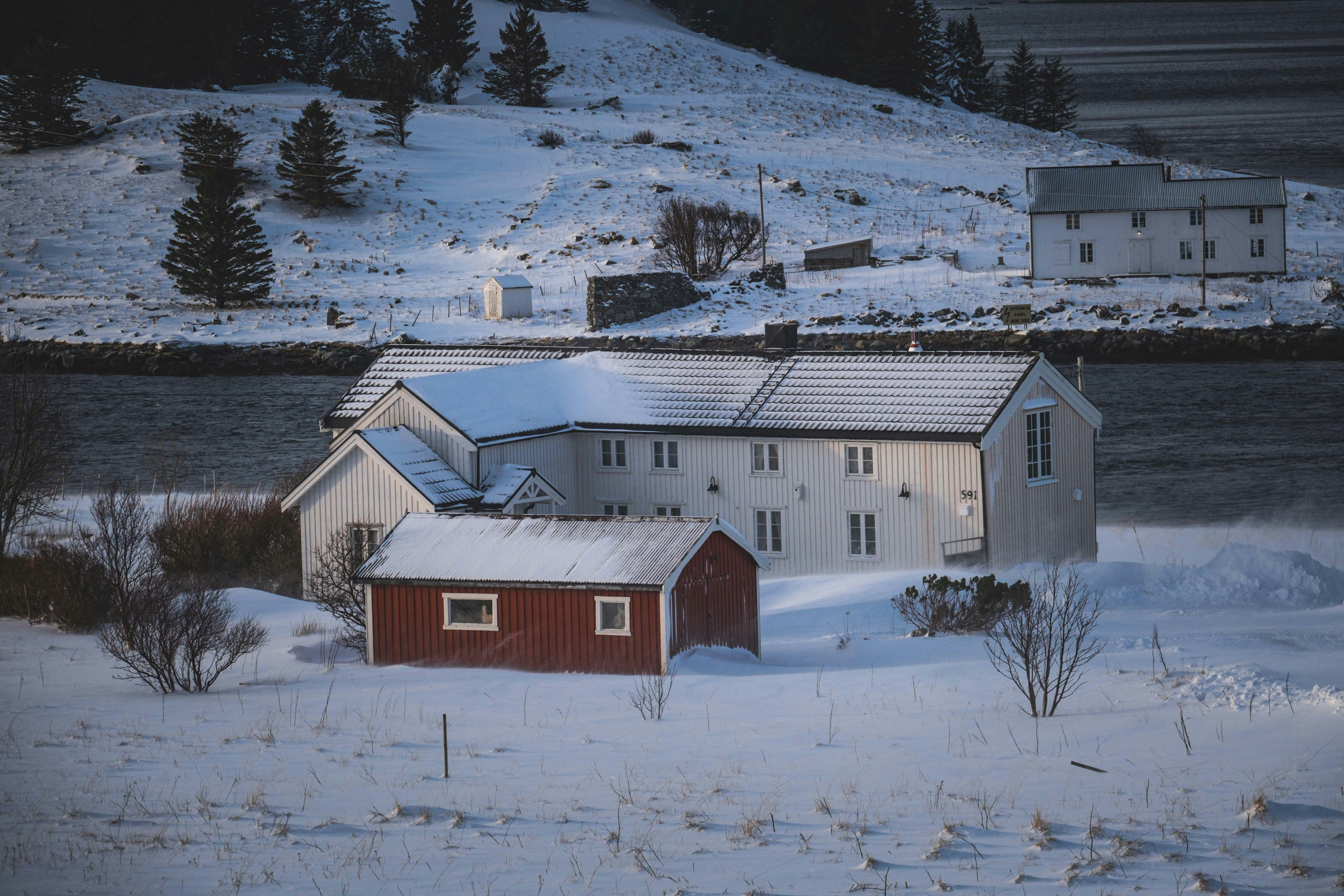 Photo by francesco_ungaro