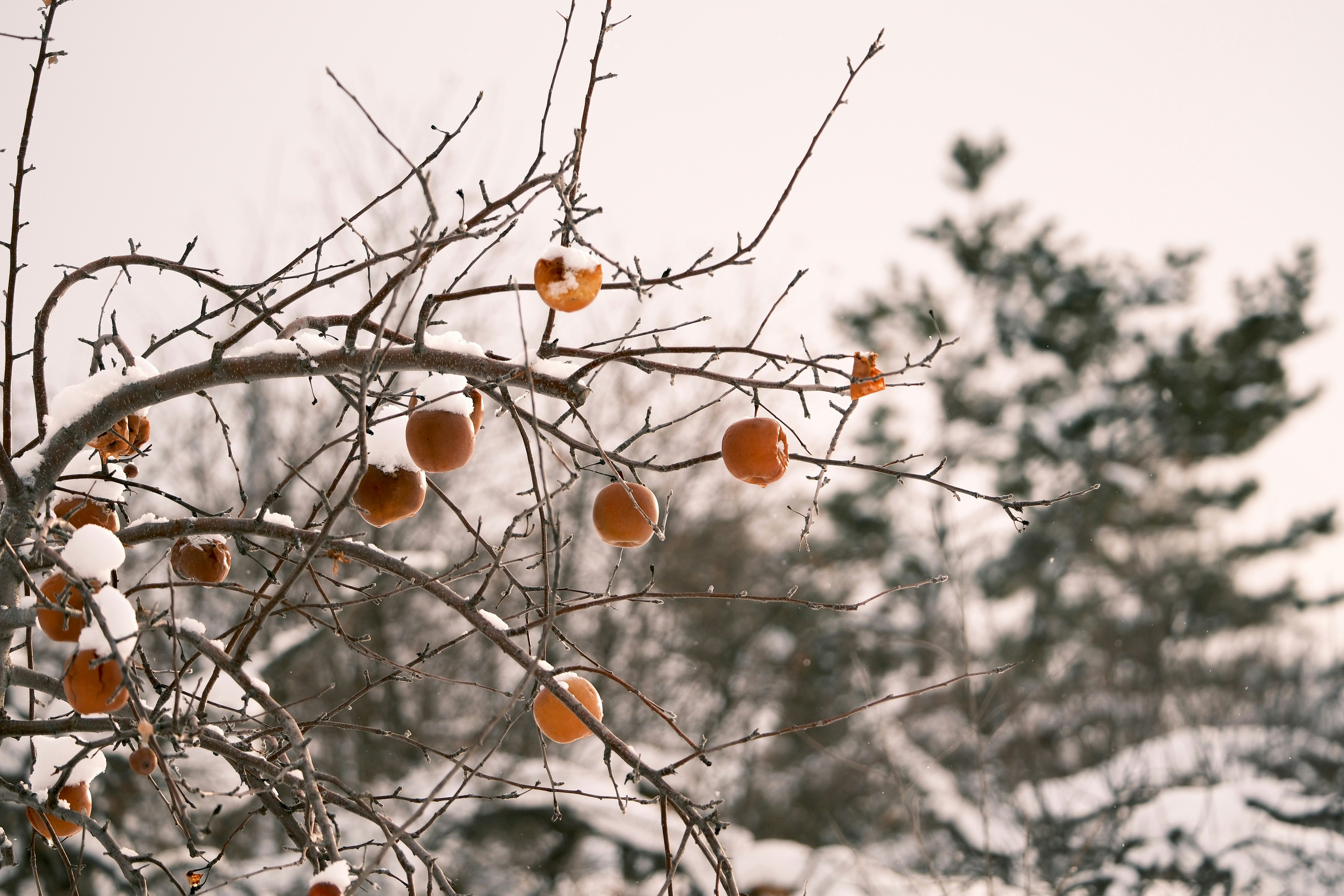 Photo by seiya_maeda