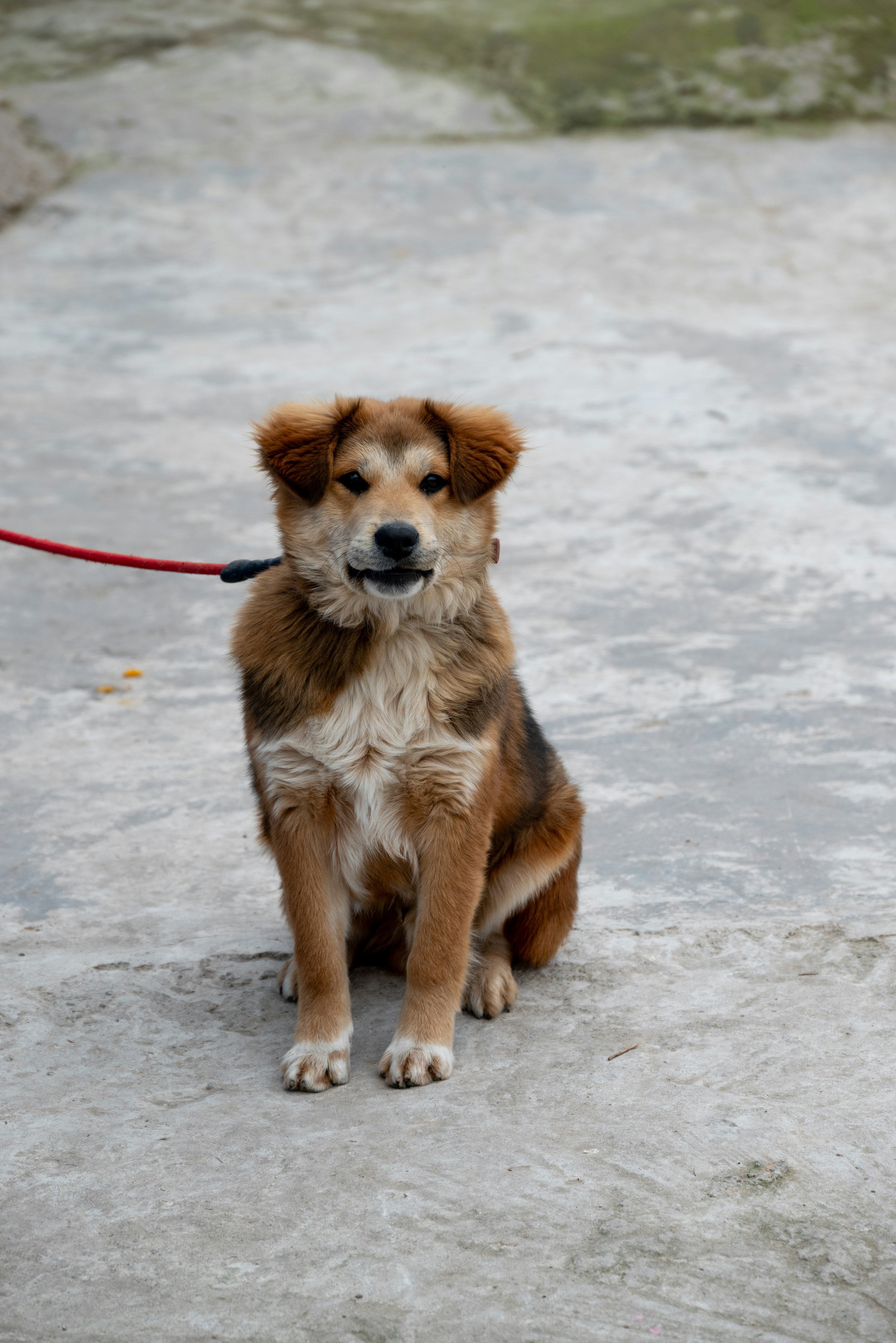 6. Low Population Density Means Less Stress (image credits: unsplash)