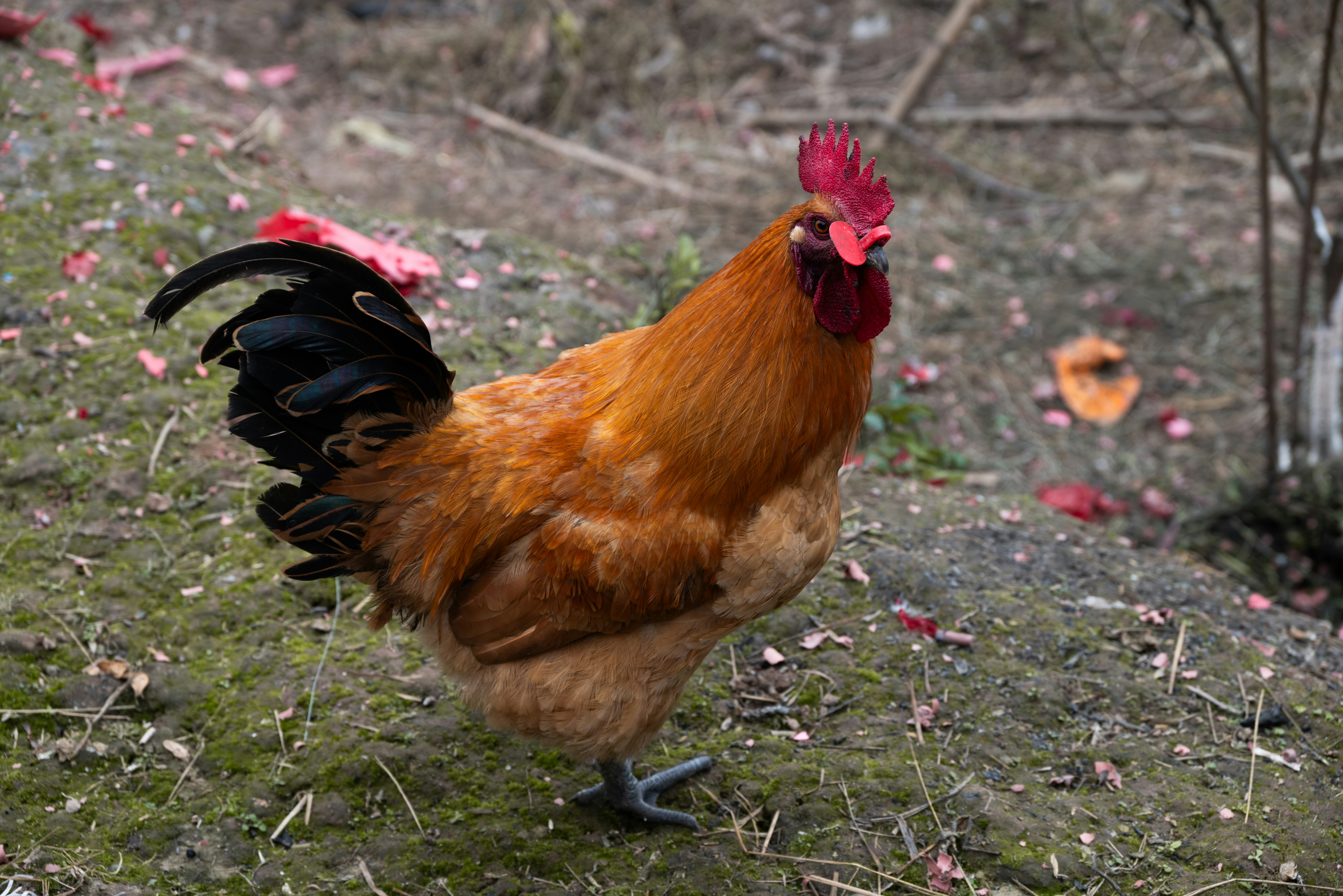 Photo by nikol_royce