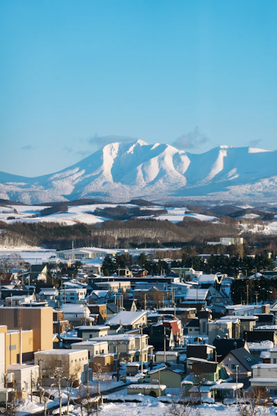 旭川の街並みと大雪山