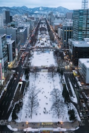 An aerial view of a city with snow on the ground