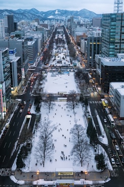 An aerial view of a city with snow on the ground