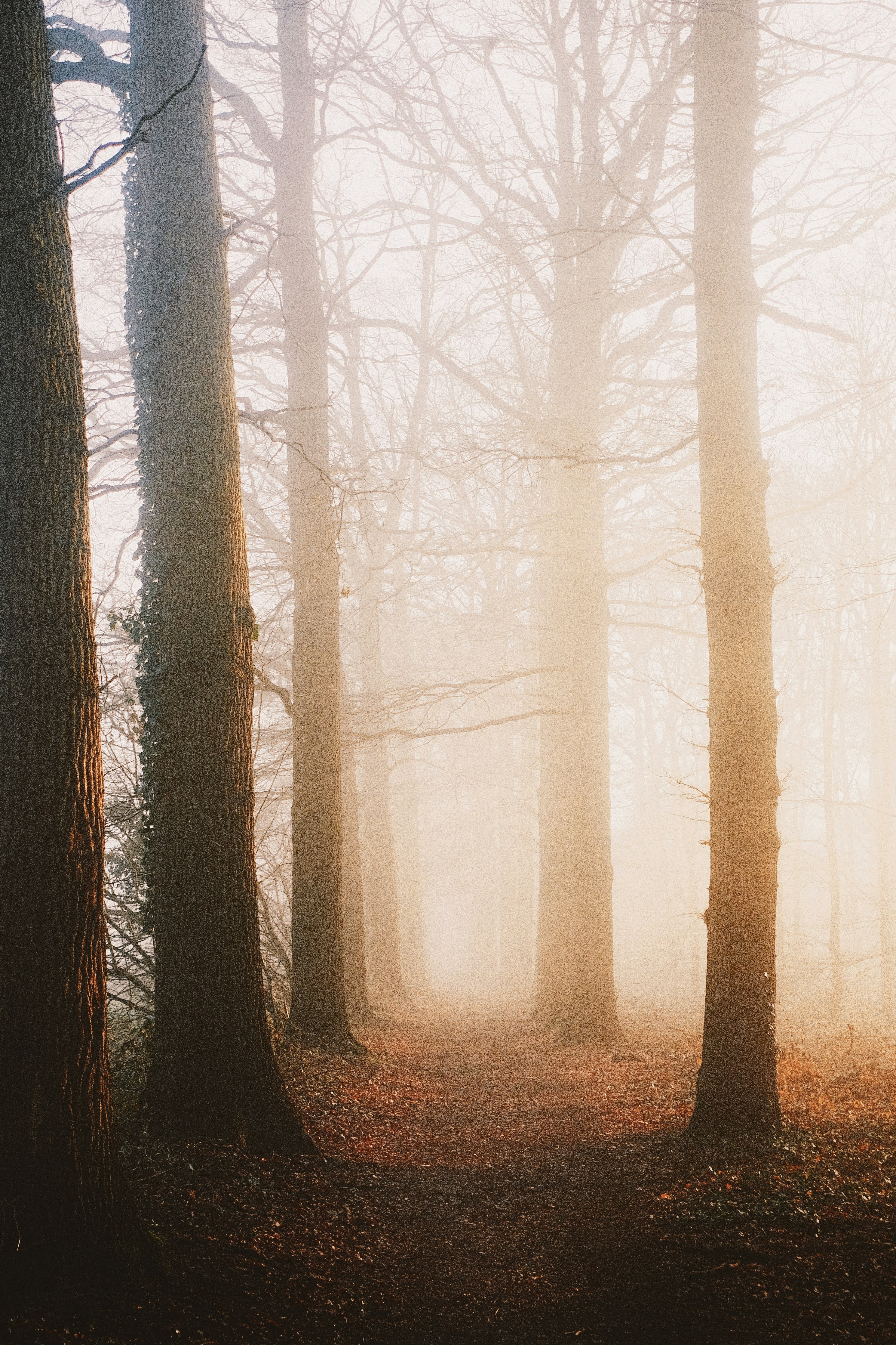 Photo by visualsbying