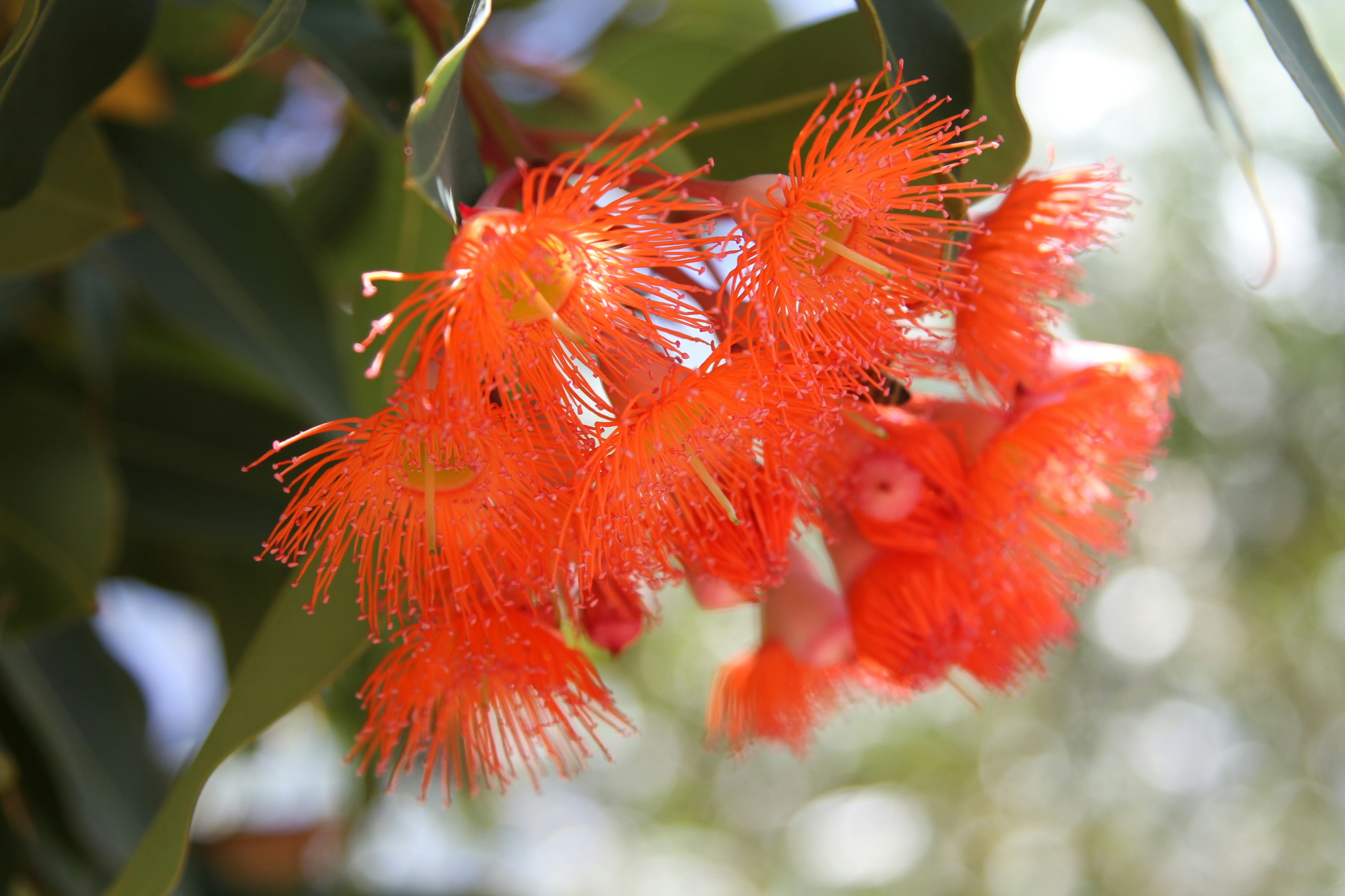 Photo by henriikkamusta