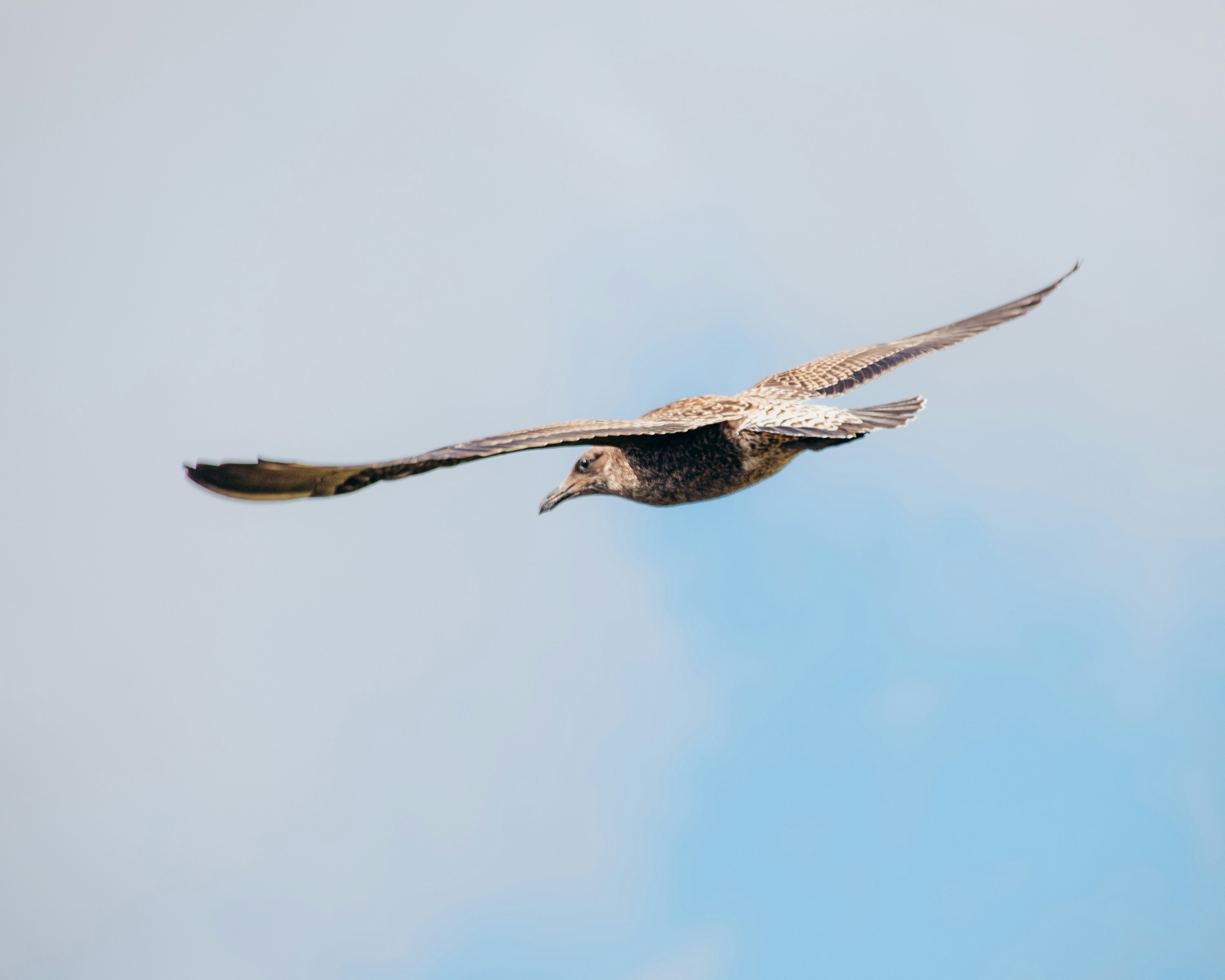 Photo by niktravelstheworld