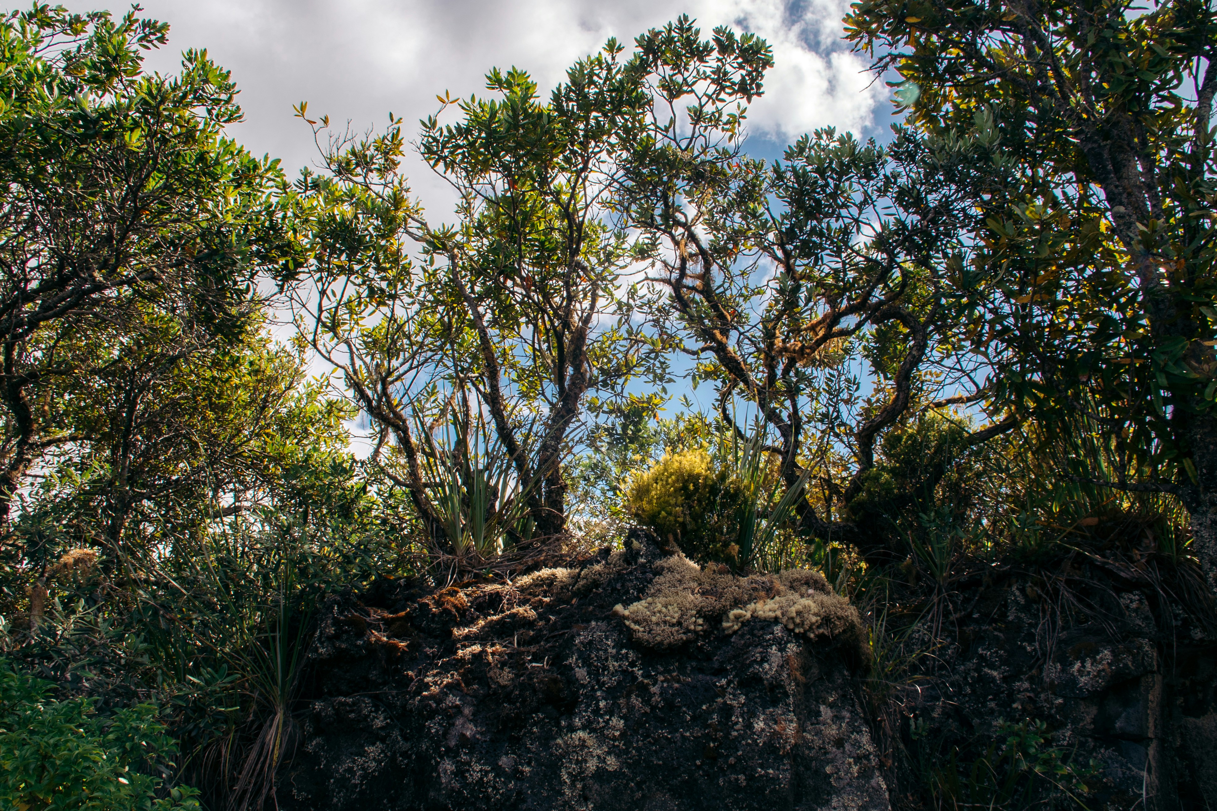 Photo by niktravelstheworld