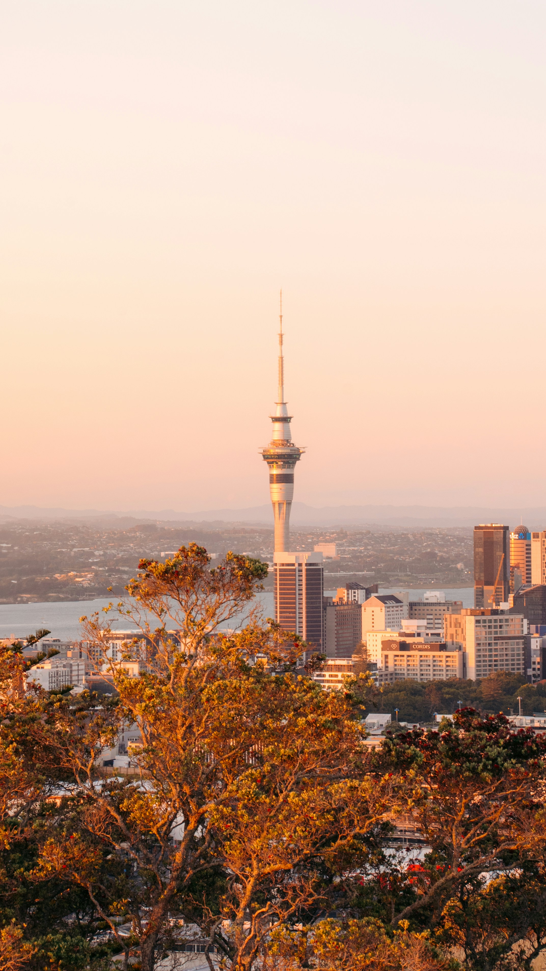 Photo by niktravelstheworld