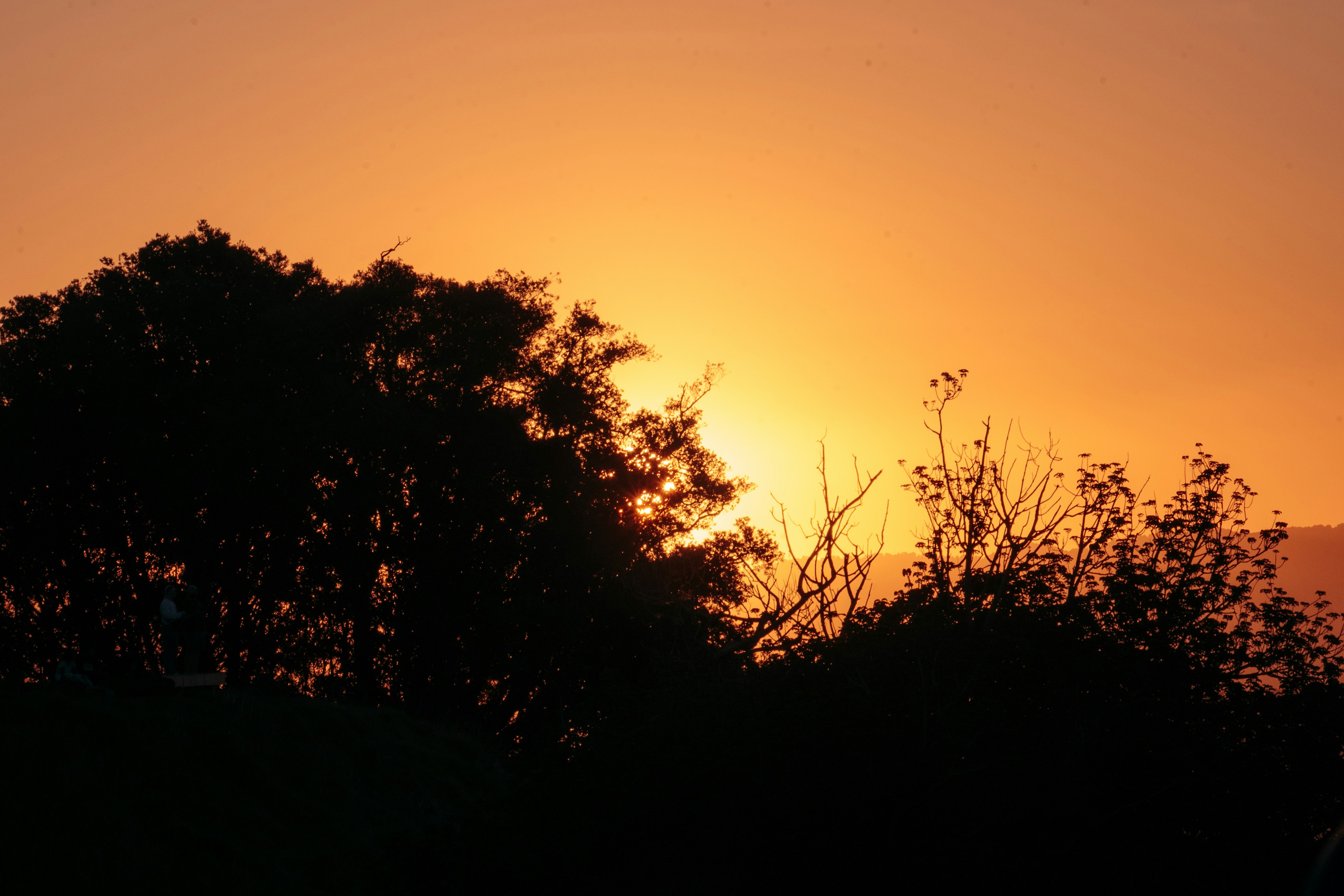 Photo by niktravelstheworld