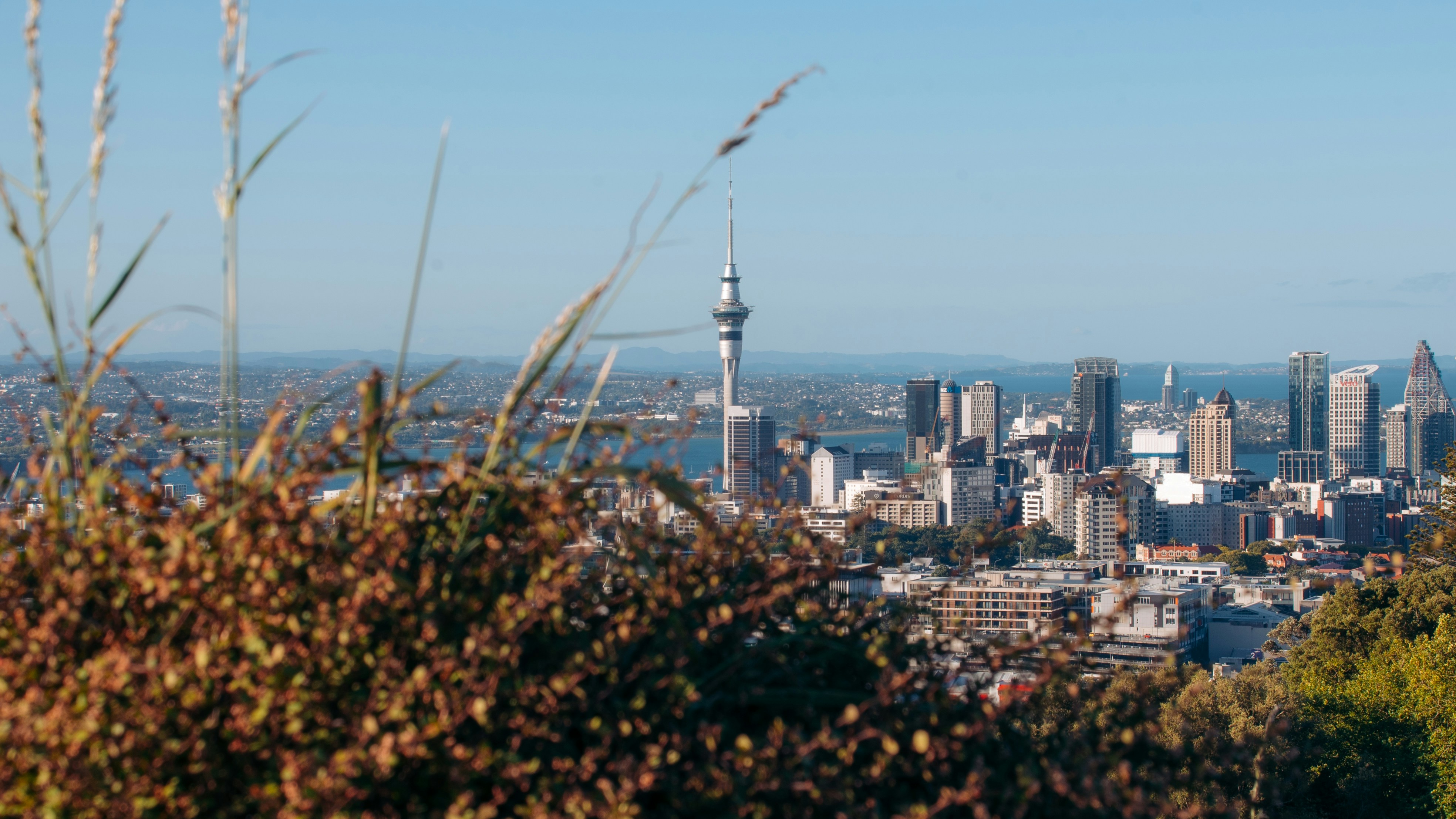 Image by Nik Schmidt via Unsplash