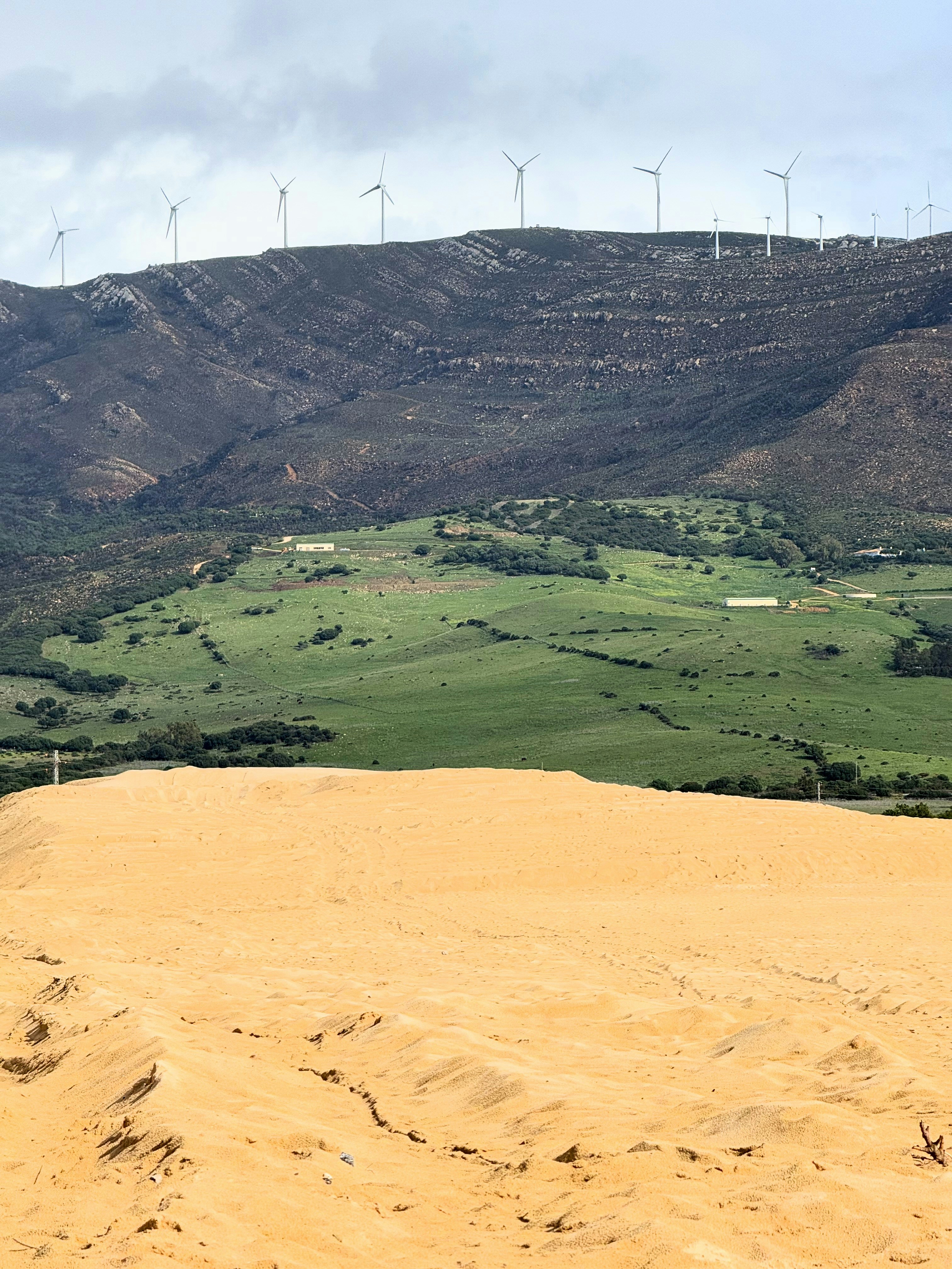 Innovative Permaculture Projects Transforming Moroccan Landscapes