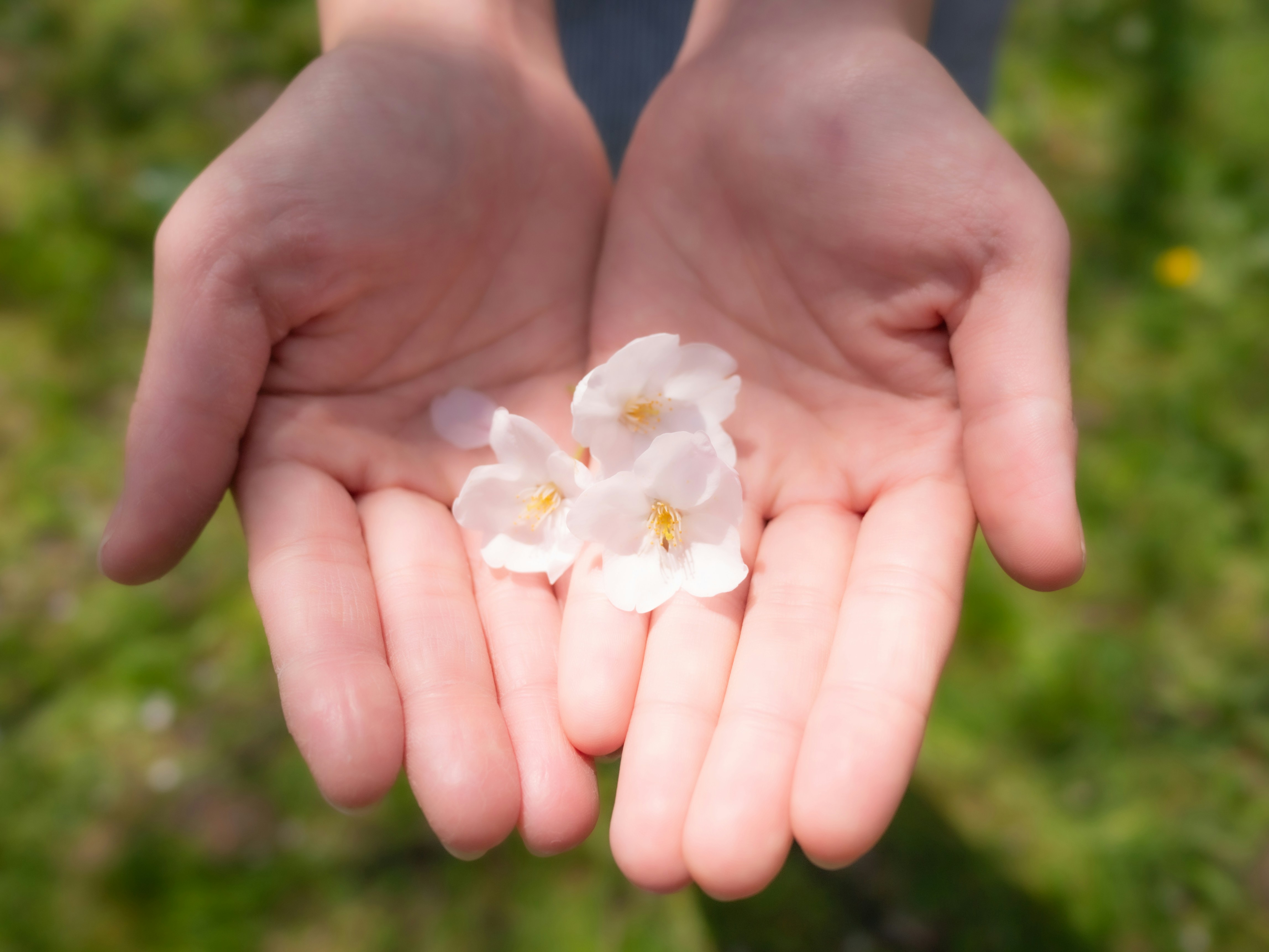 Photo by tehutehutuntun