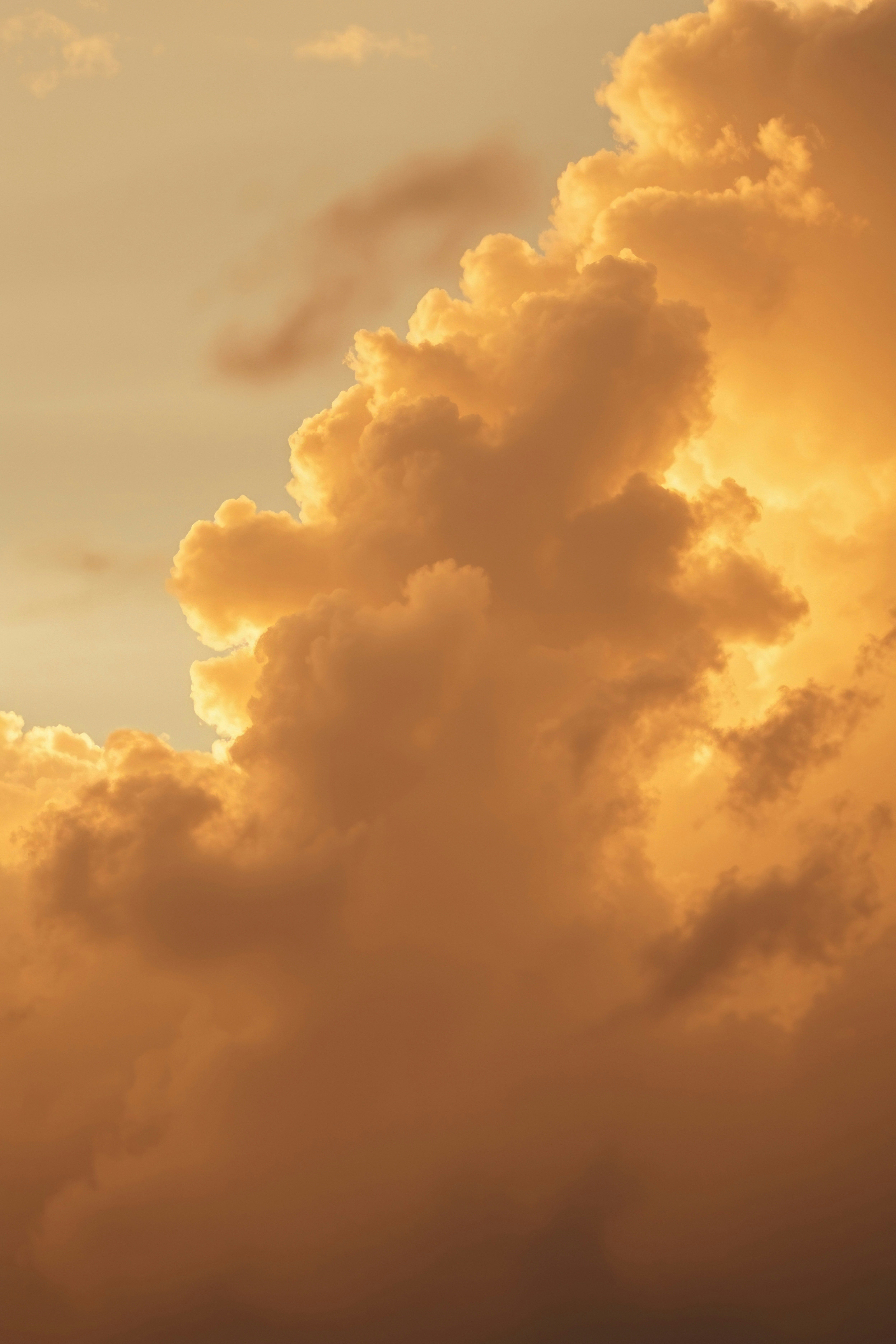 Photo by morganmarinoni