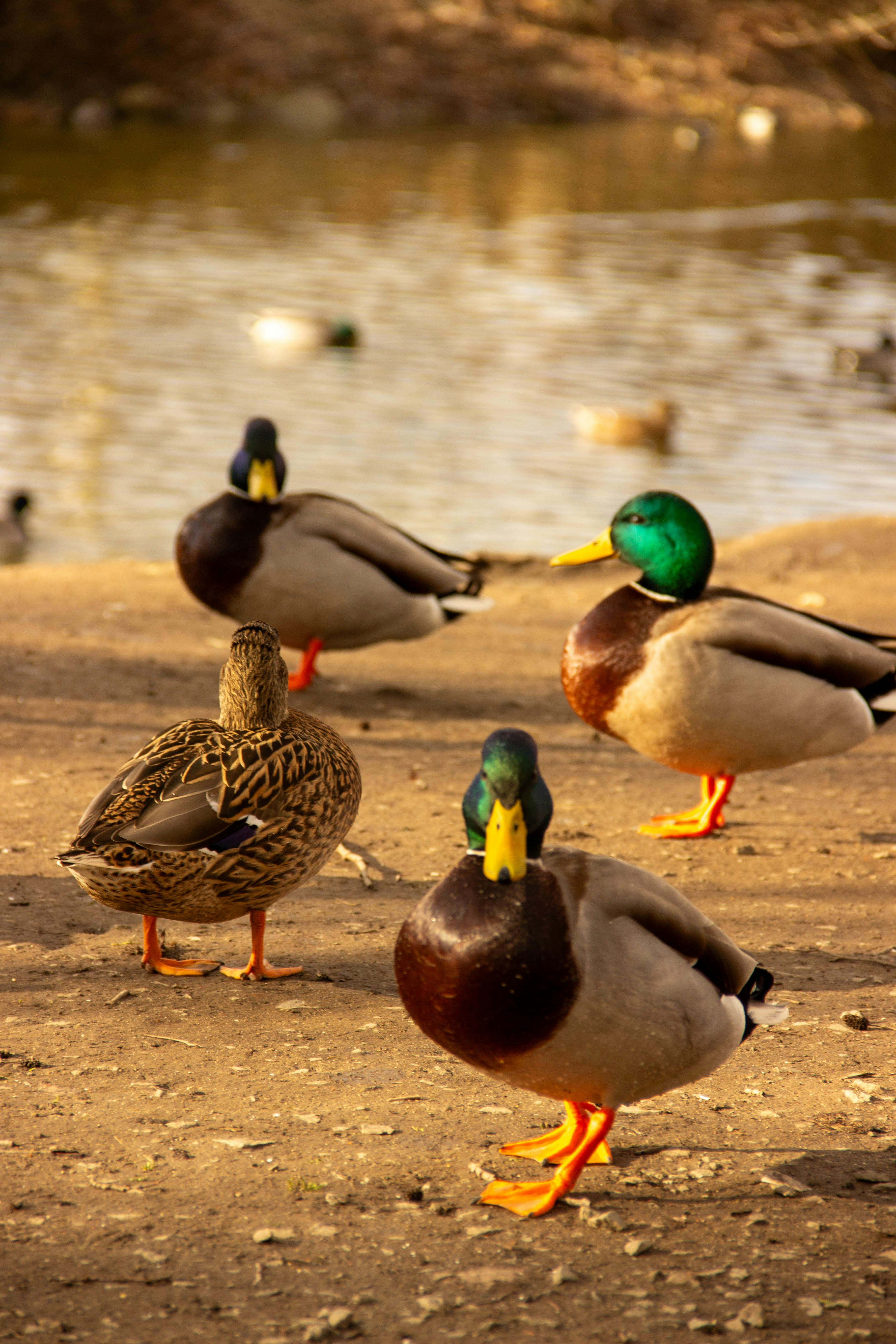 Photo by daniyarorazov