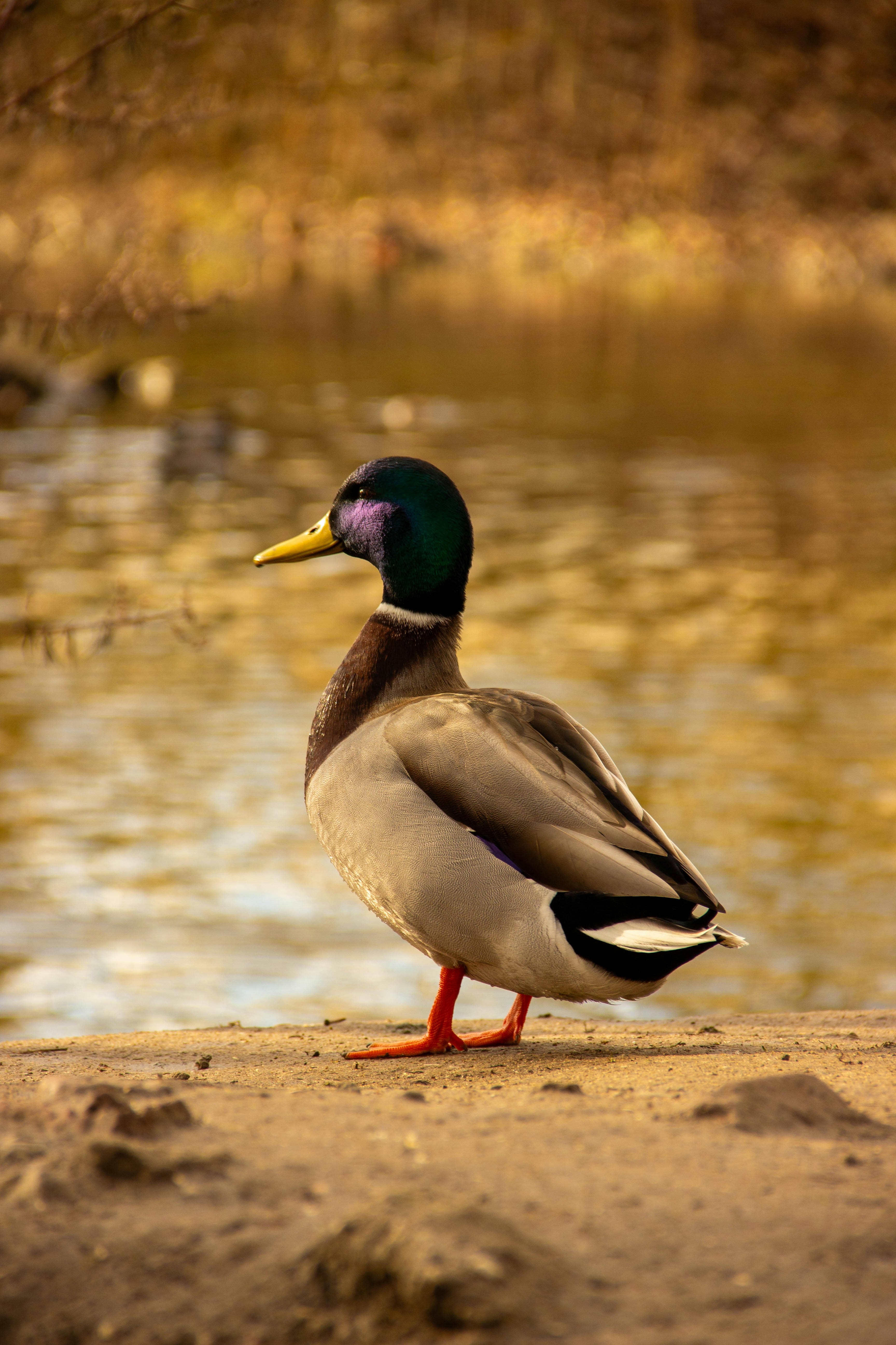 Photo by daniyarorazov