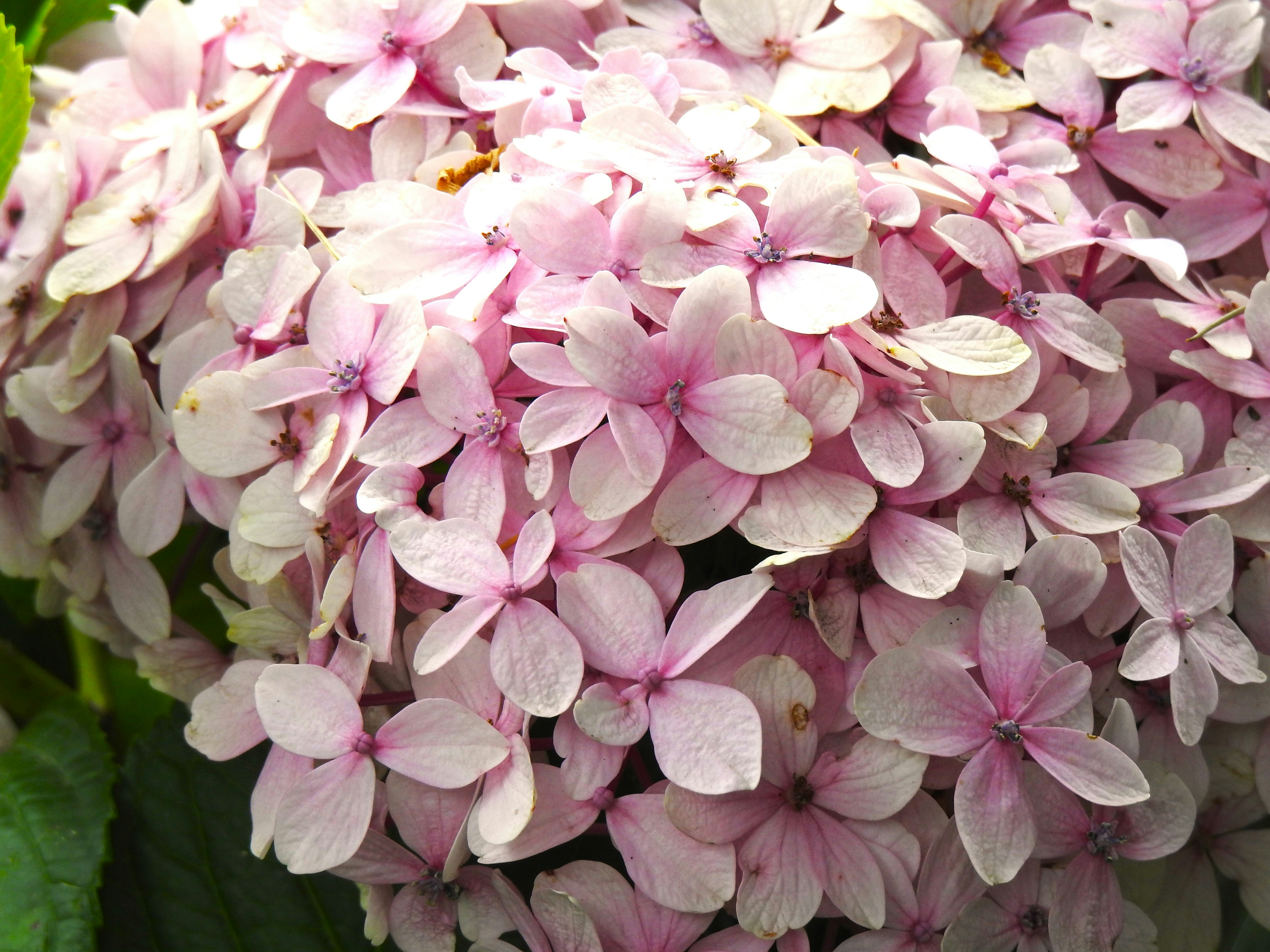 Photo by aditipanatu95