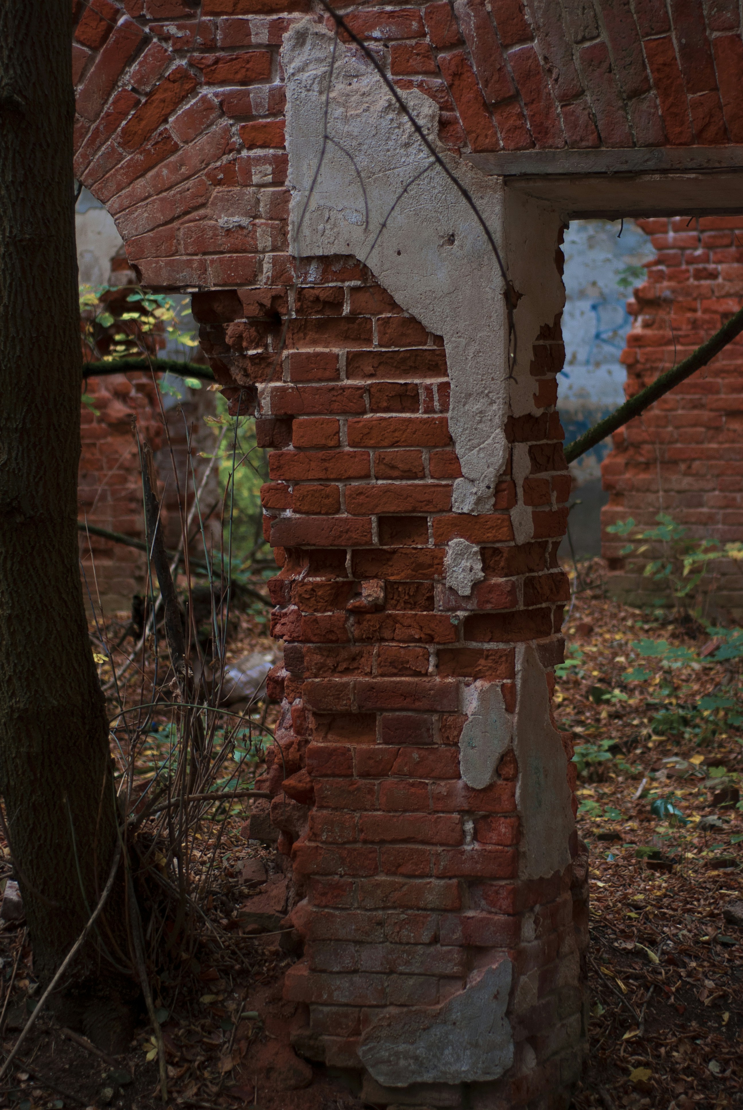 Un vieux bâtiment en brique avec un arbre au premier plan