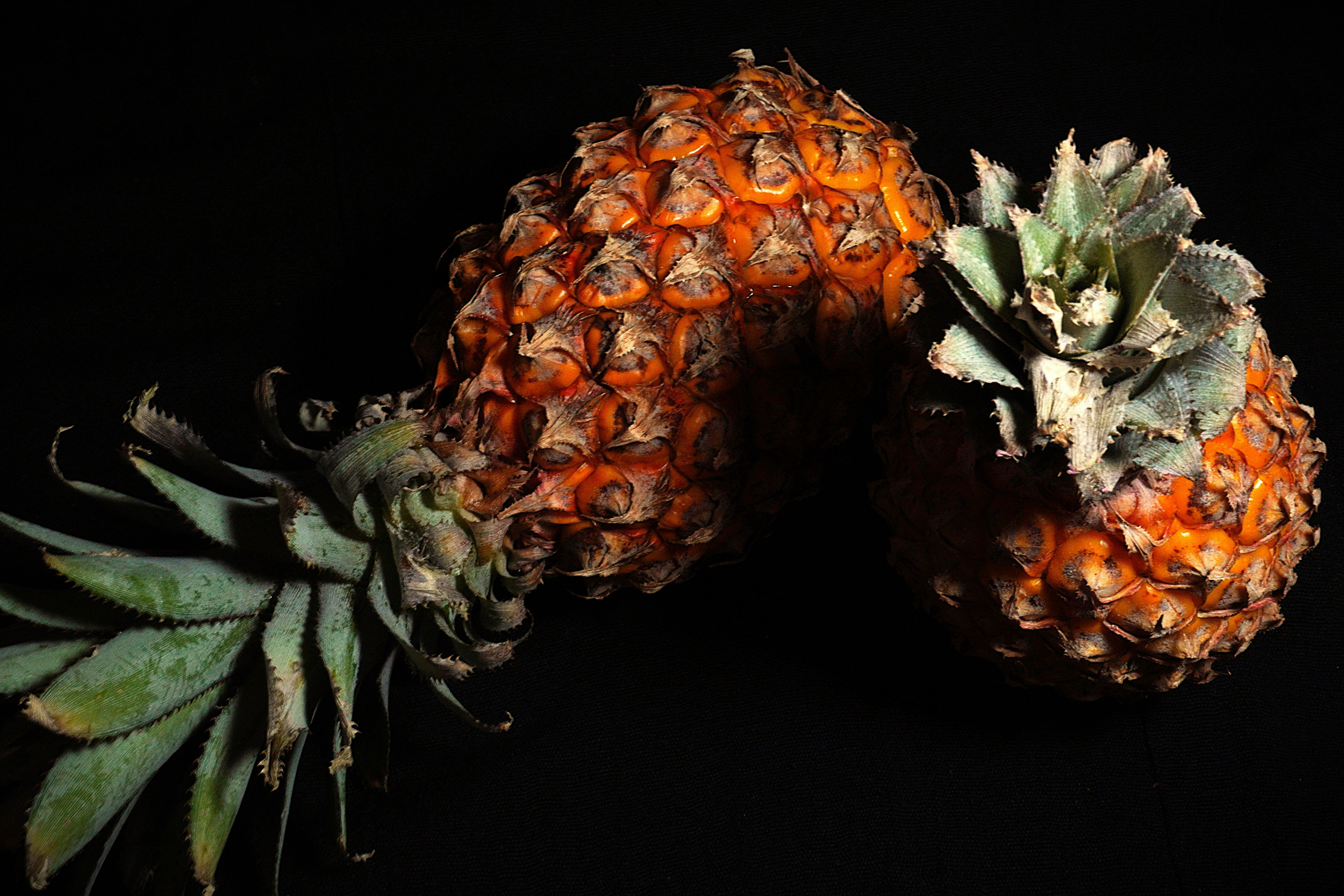 Photo by agrianu_2005