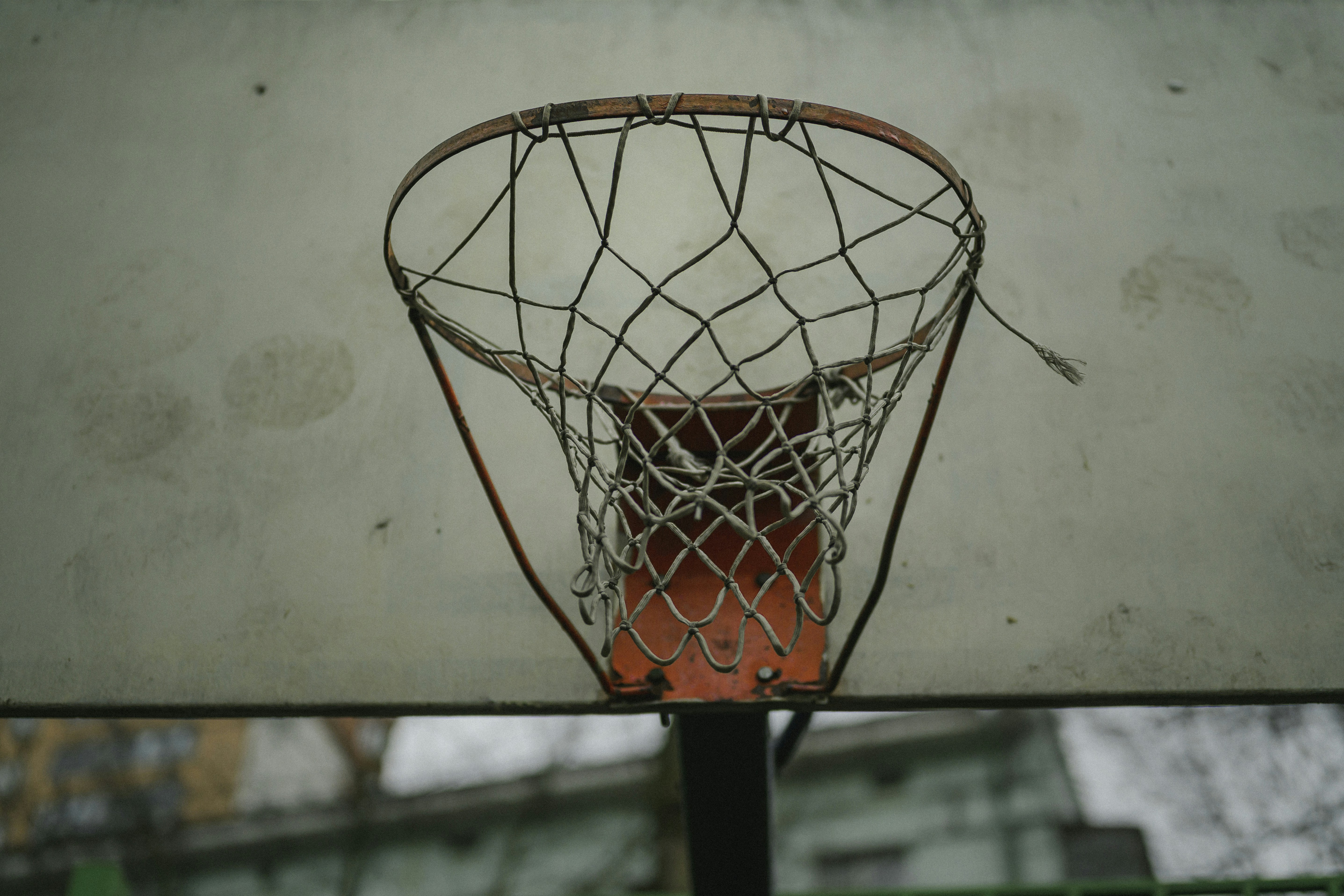 Photo by vonshnauzer