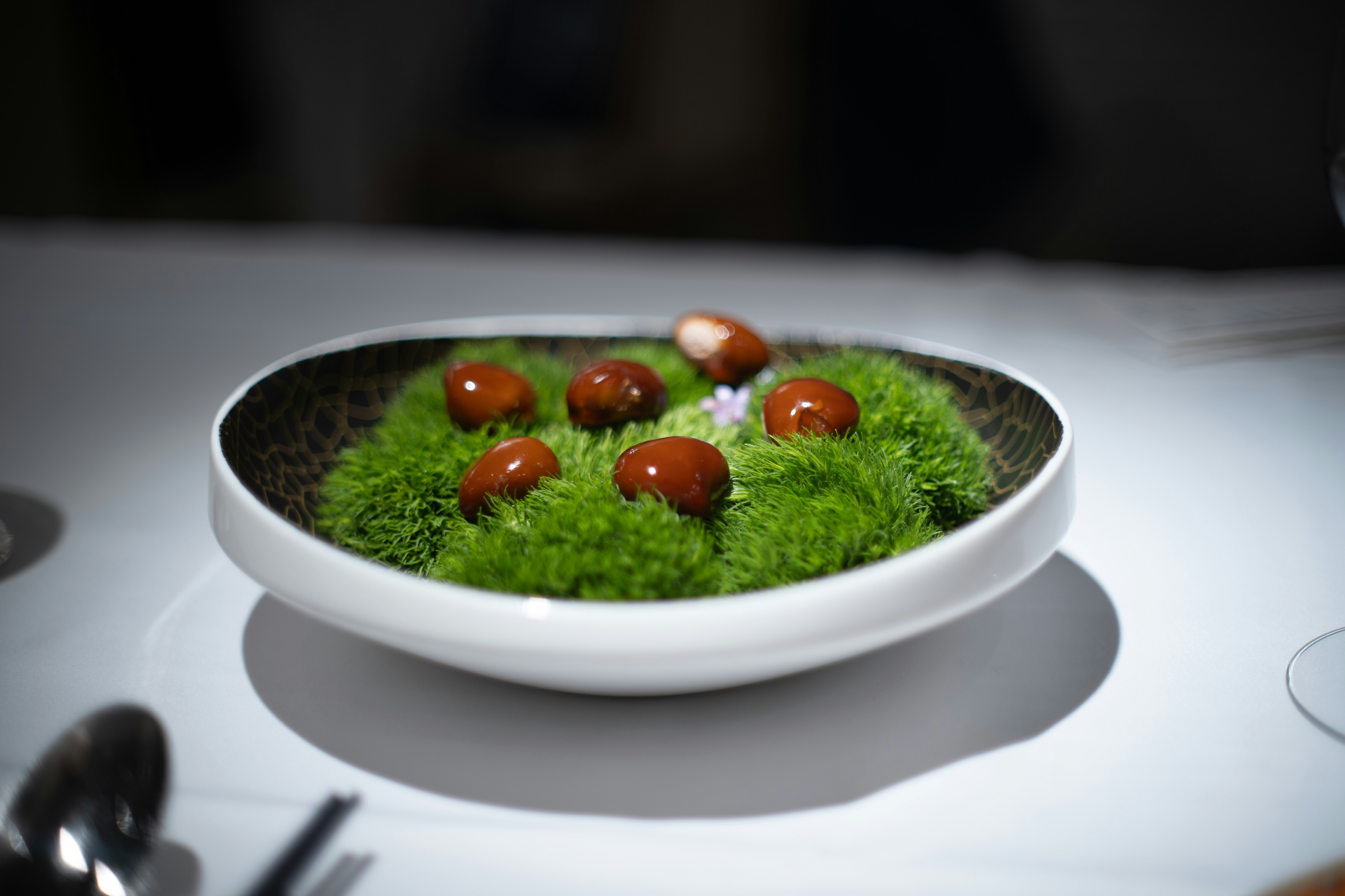 A white bowl filled with green moss and mushrooms