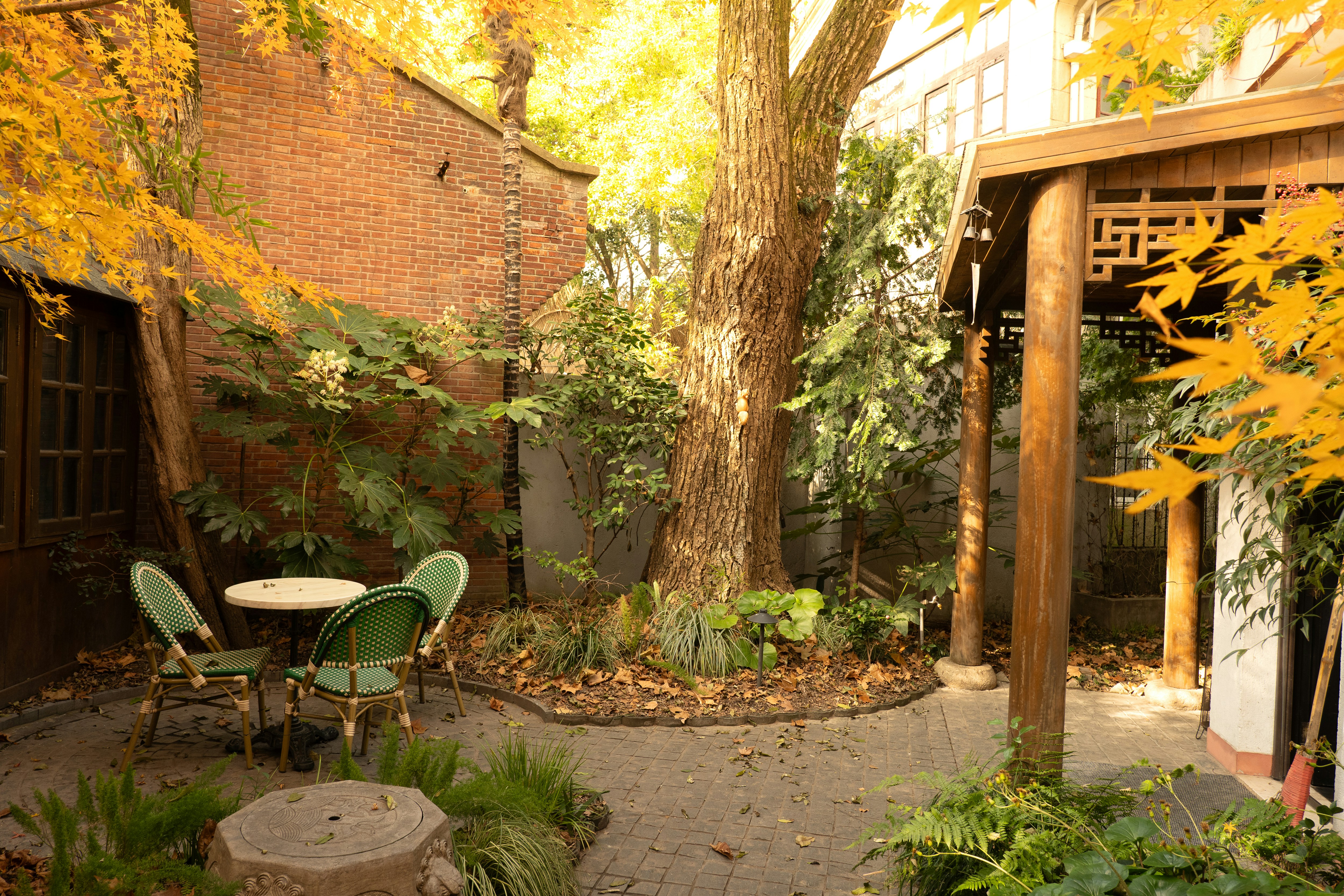 A patio with a table and chairs under a tree
