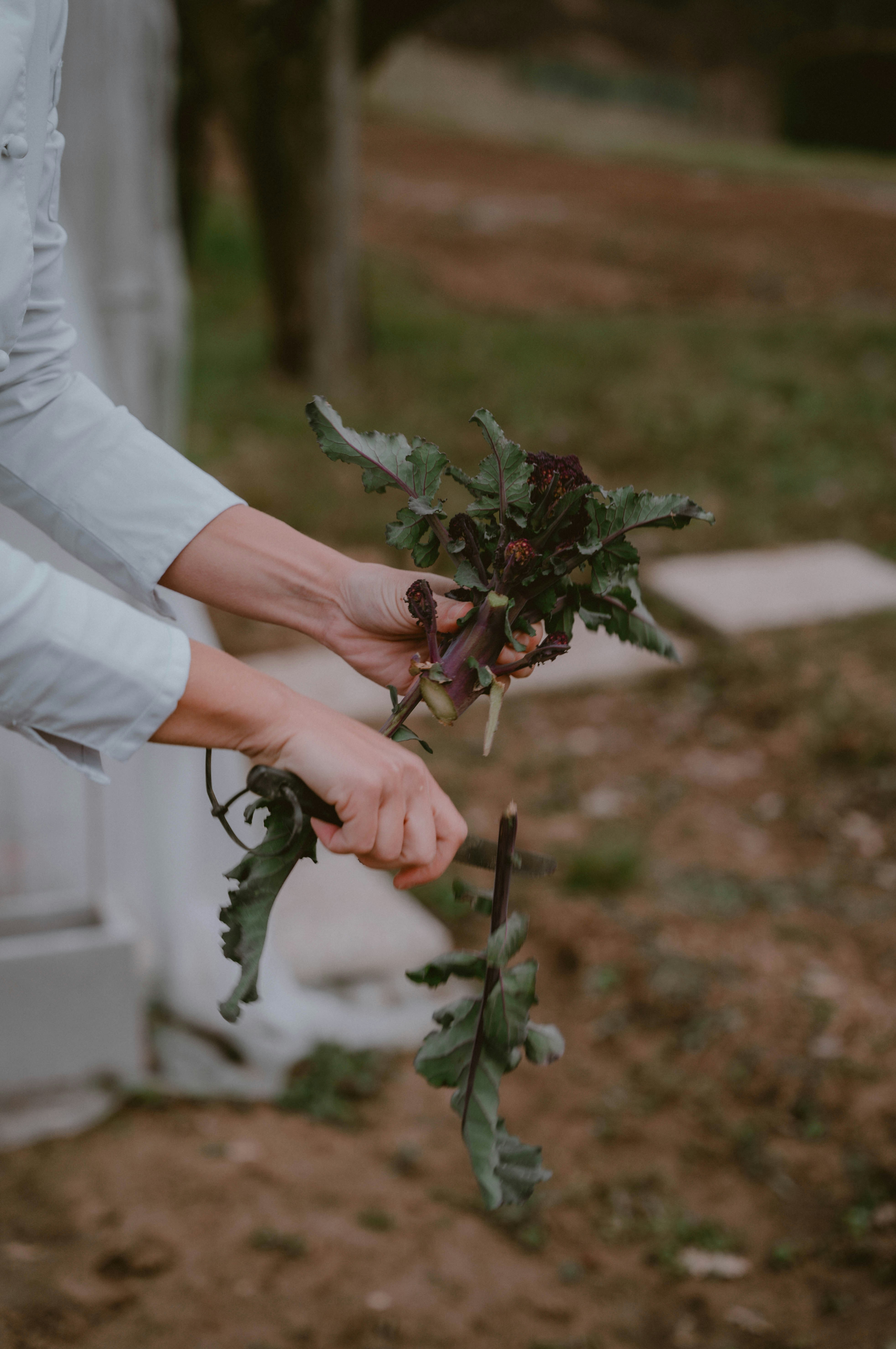 Photo by makiphotographer