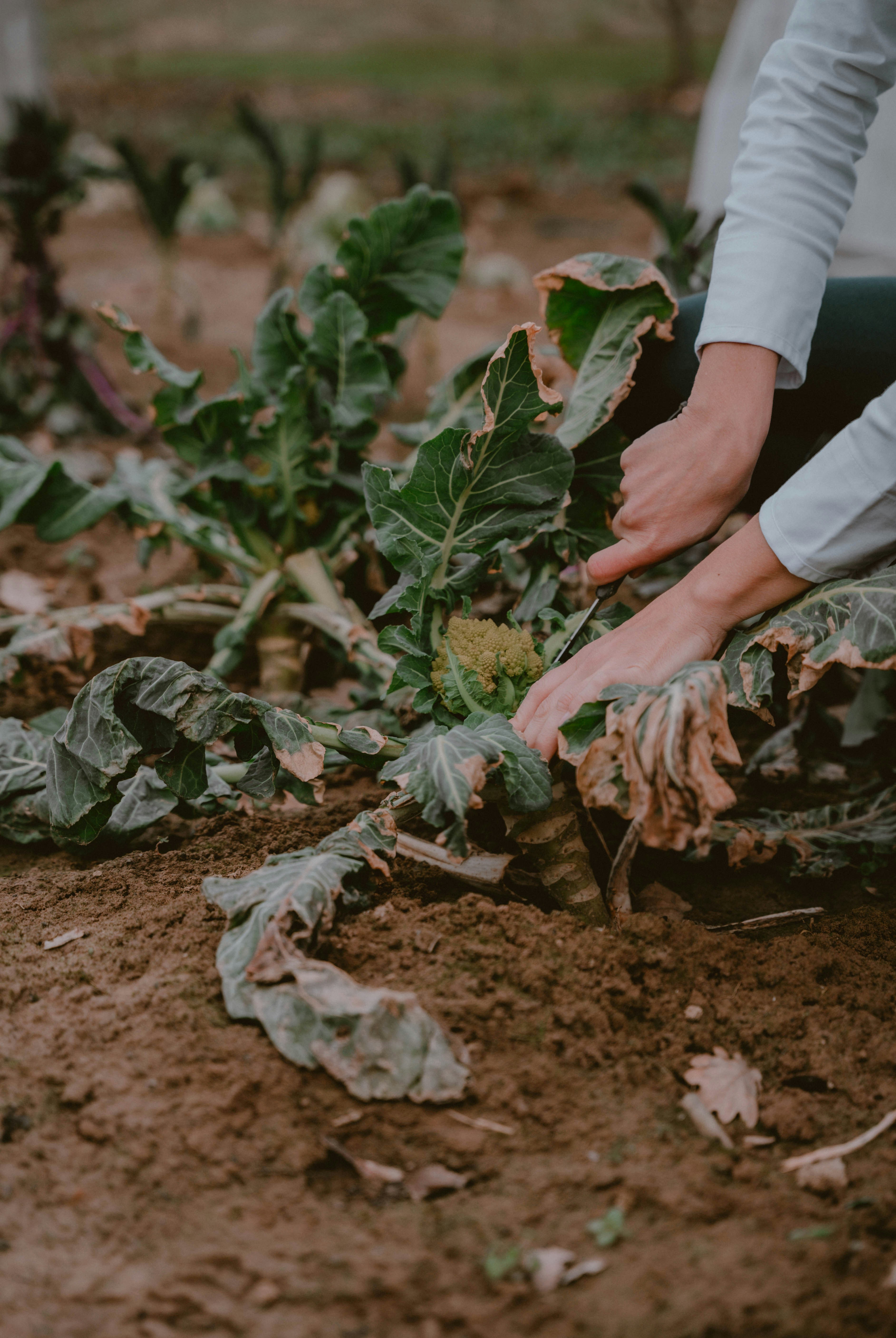 Photo by makiphotographer