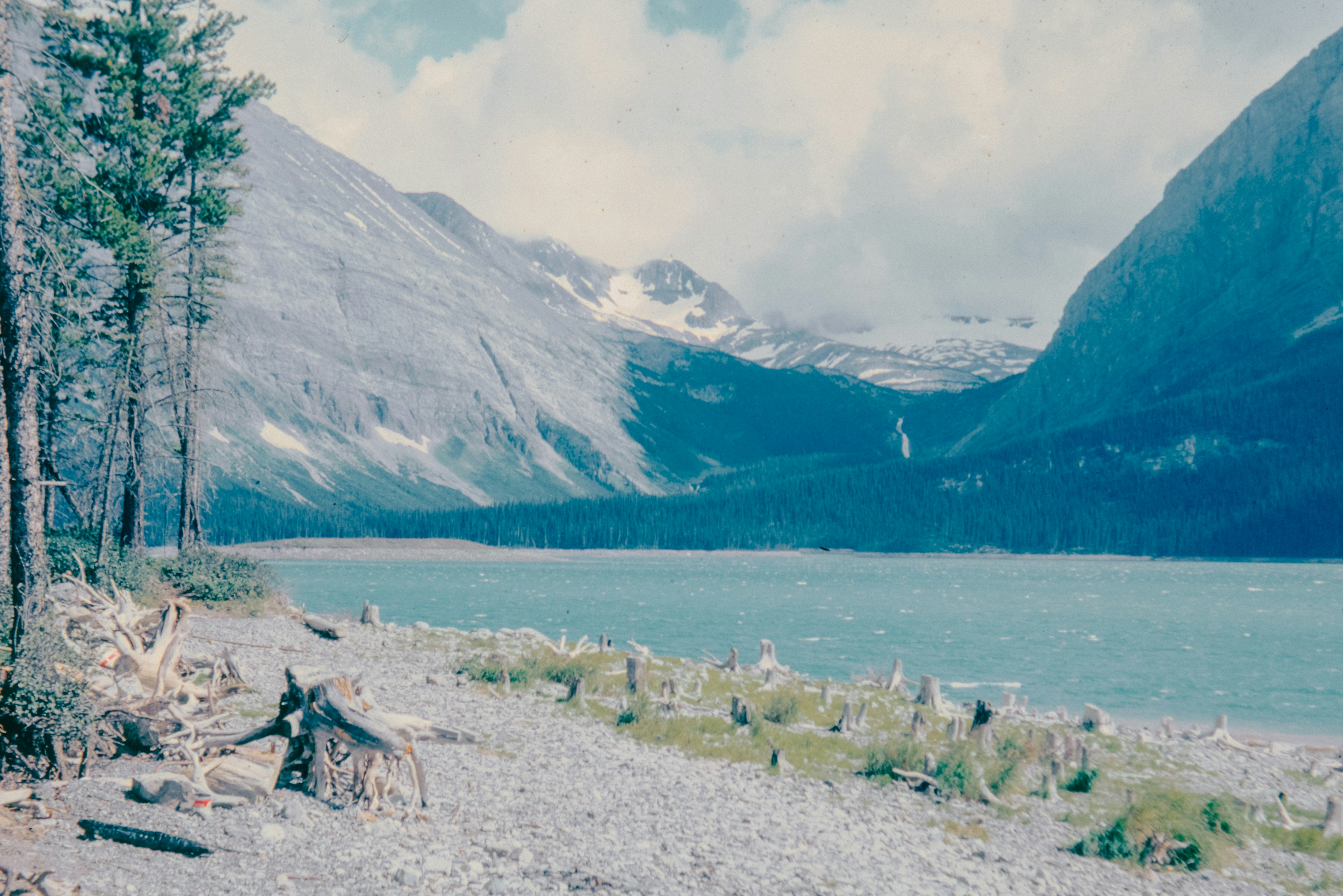 Photo by anniespratt