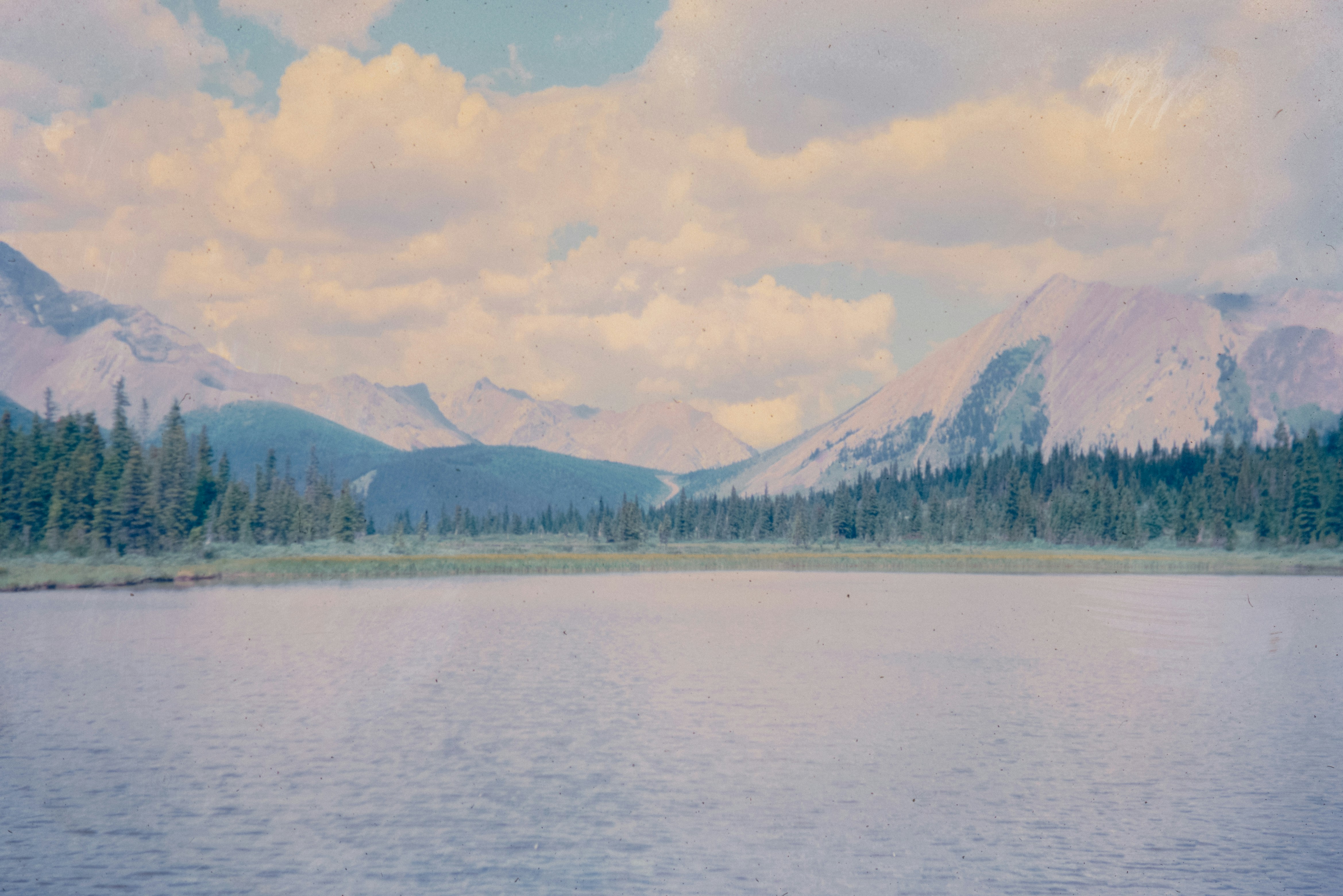 Photo by anniespratt