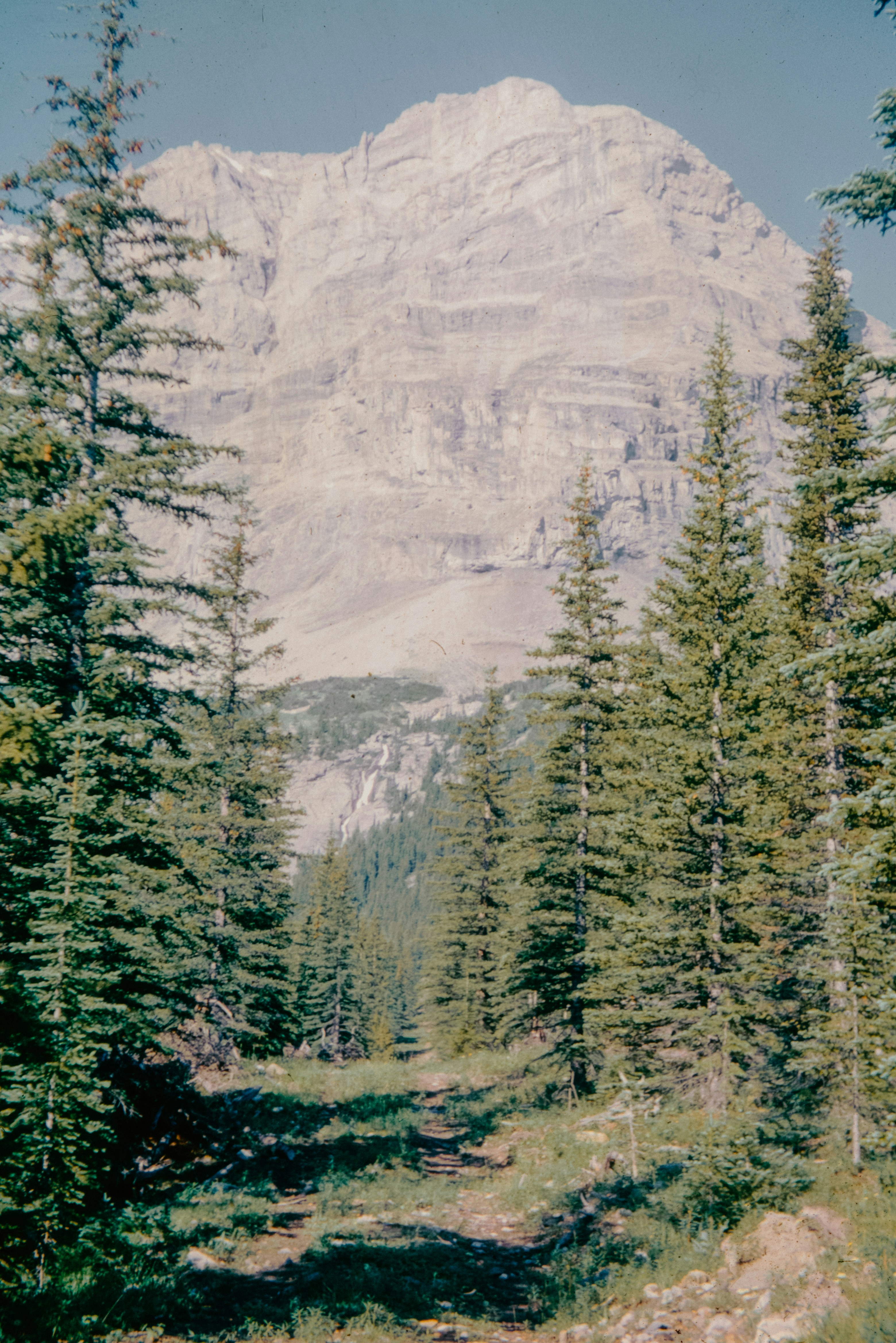 Photo by anniespratt