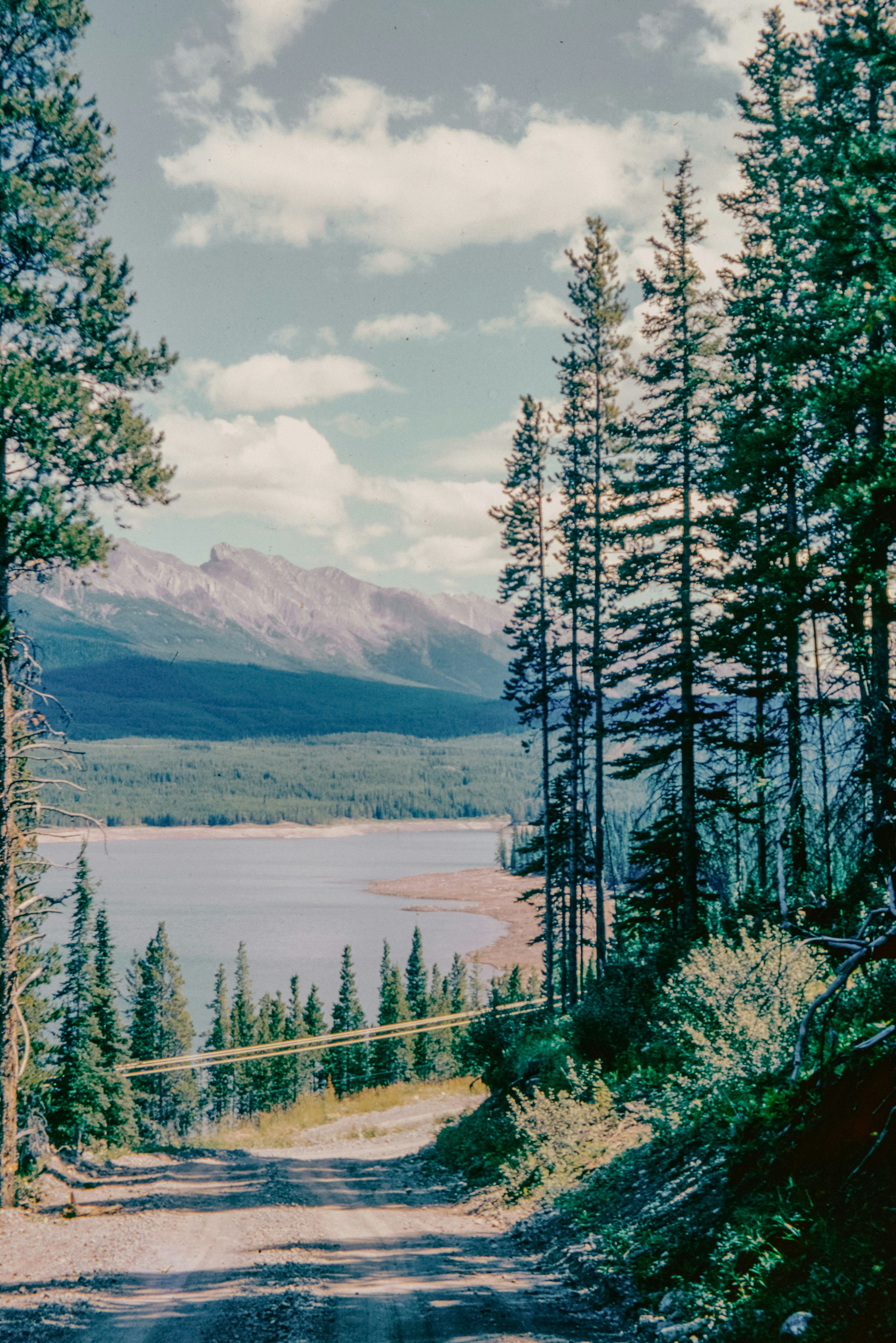 Photo by anniespratt