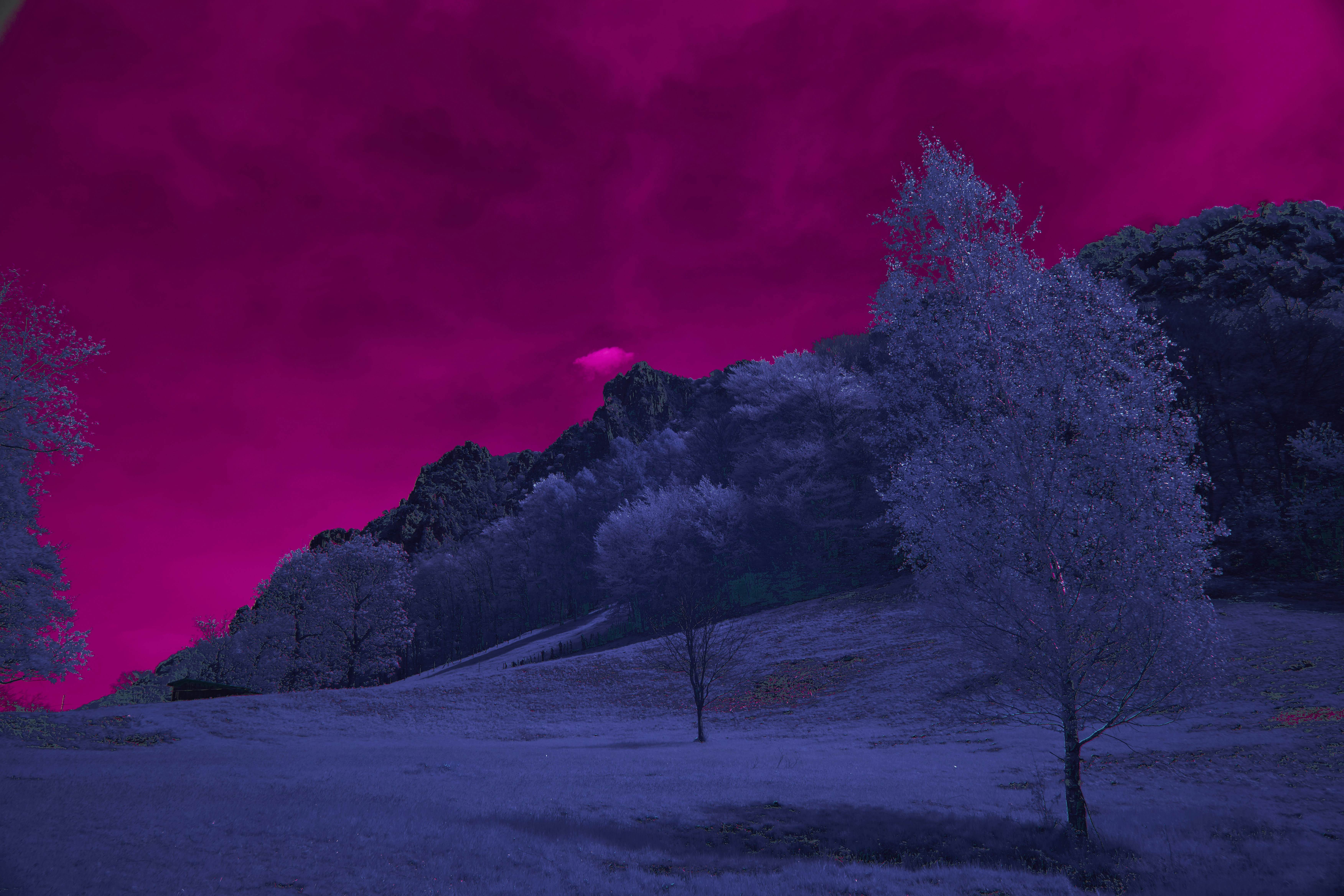 Photo by wolfgang_hasselmann