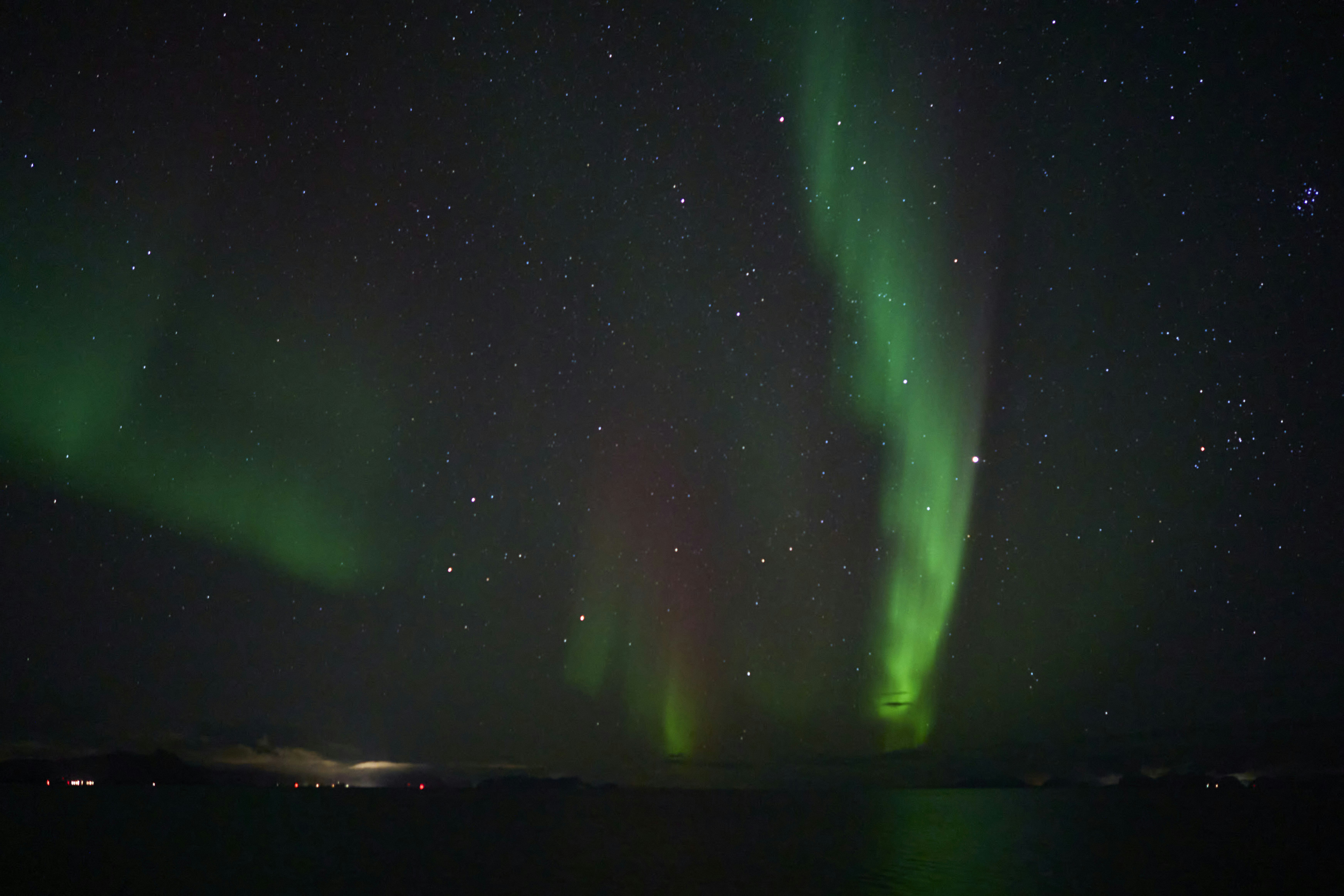 Photo by wolfgang_hasselmann