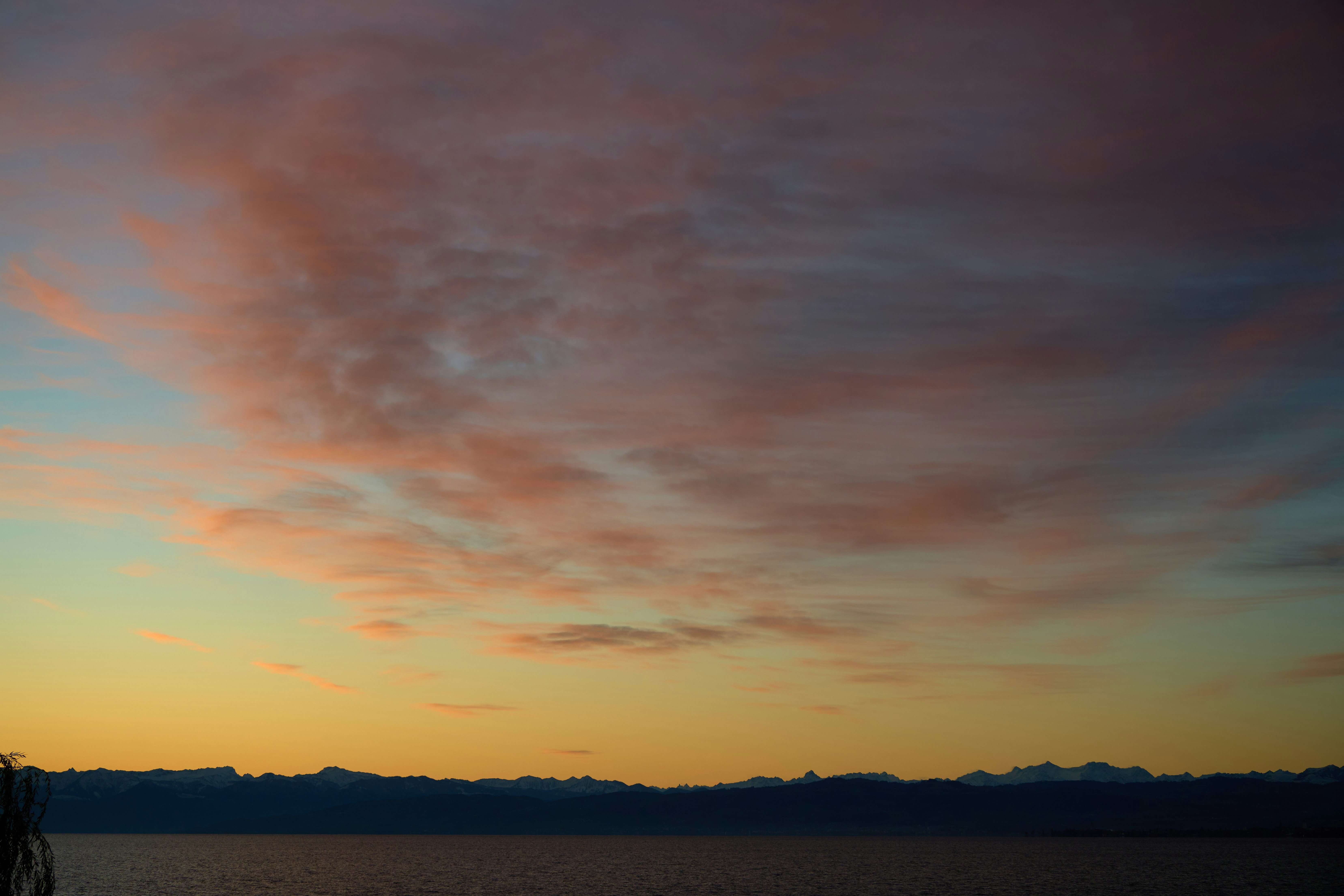 Photo by wolfgang_hasselmann