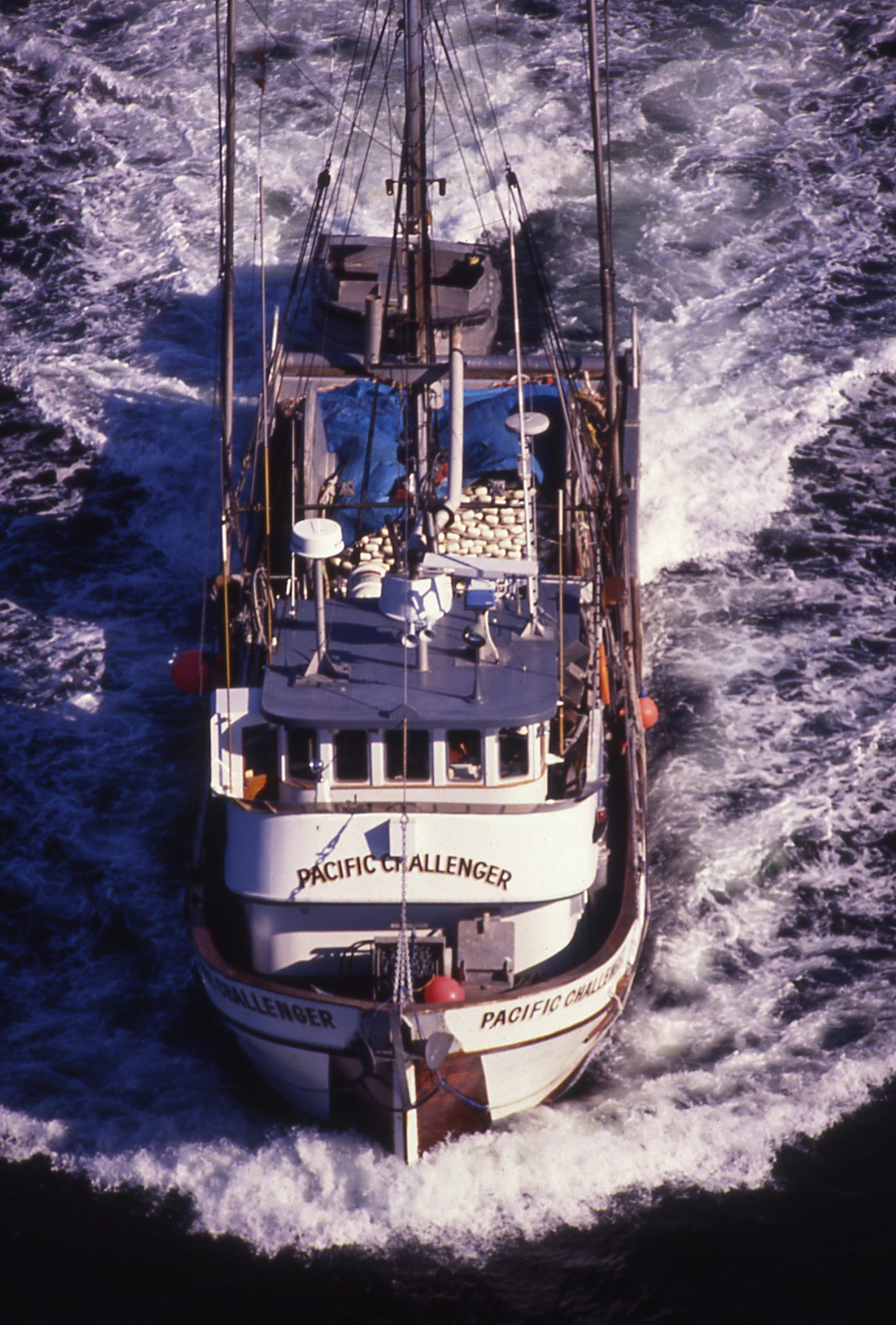 A white boat in the middle of a body of water photo – Free Fishing ...
